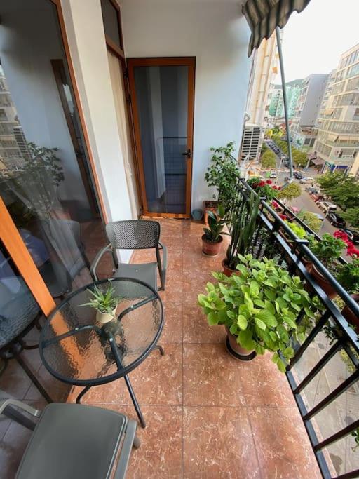 Mimosa’s apartment with lovely balcony