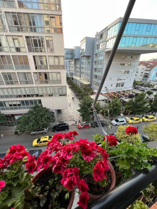 Mimosa’s apartment with lovely balcony