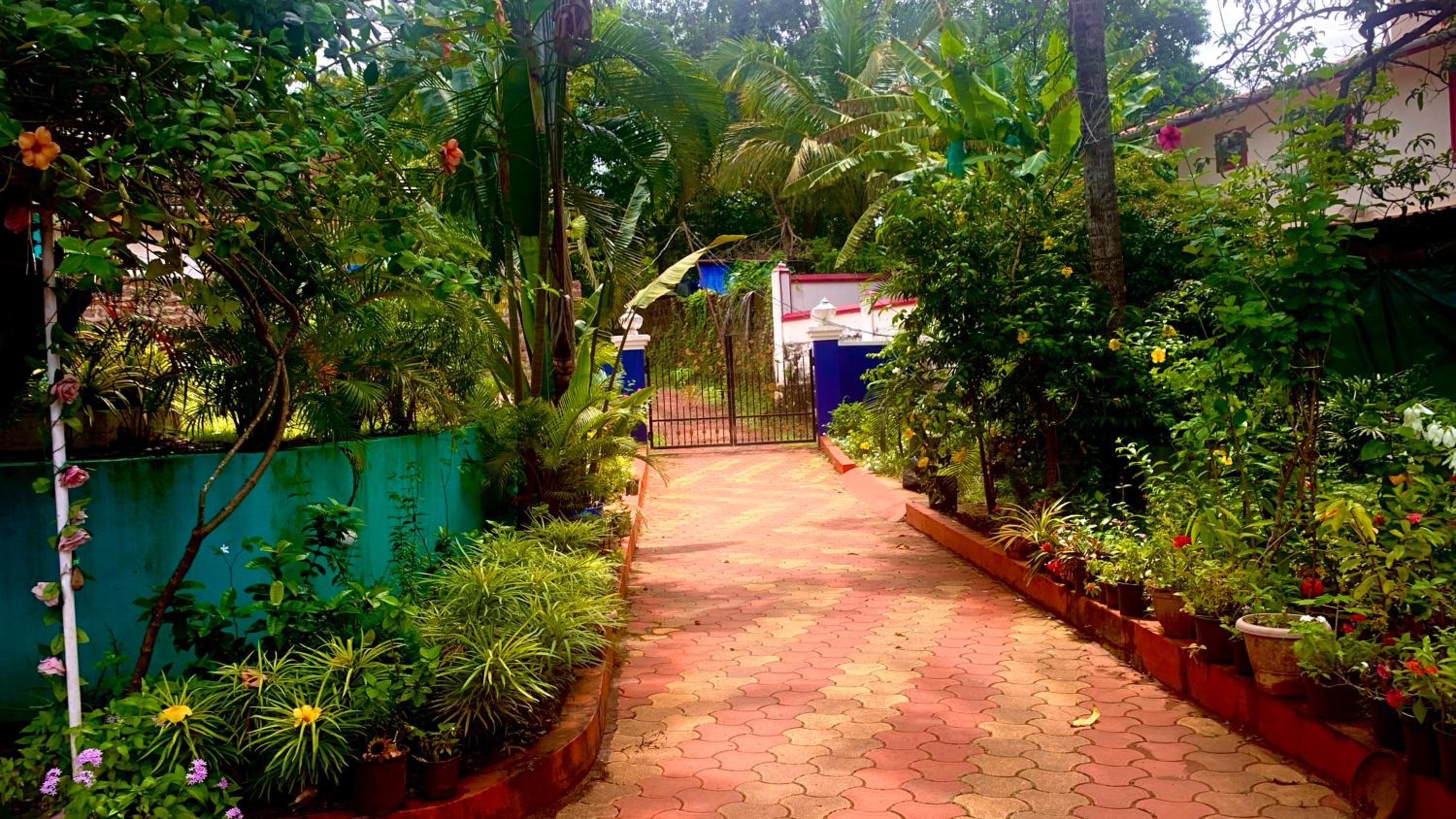 Stan-Inn, North Goa, Vagator, with strong WIFI,free private parking & kitchen, Can Cook where you stay view 5