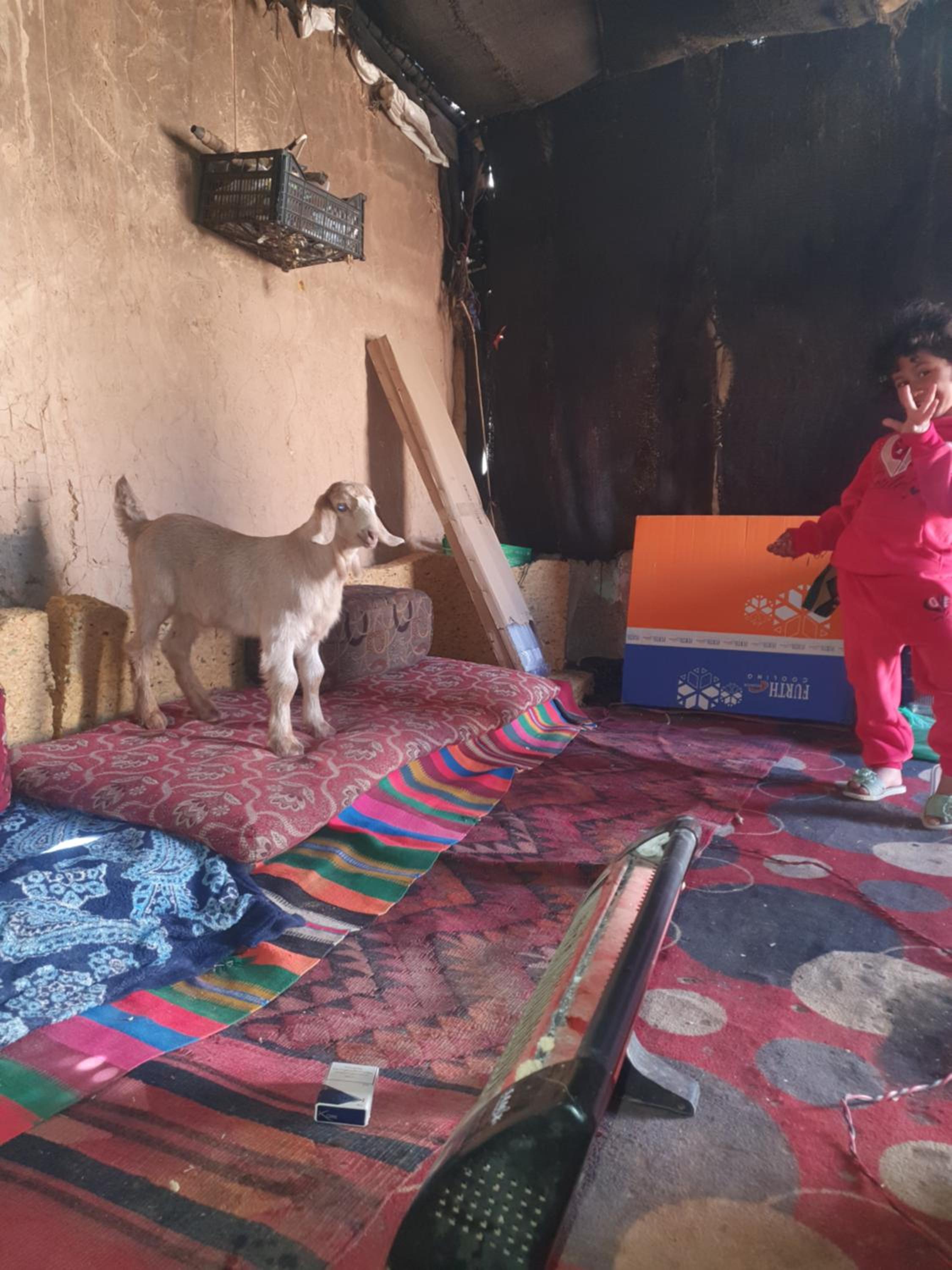 Bedouin experiences