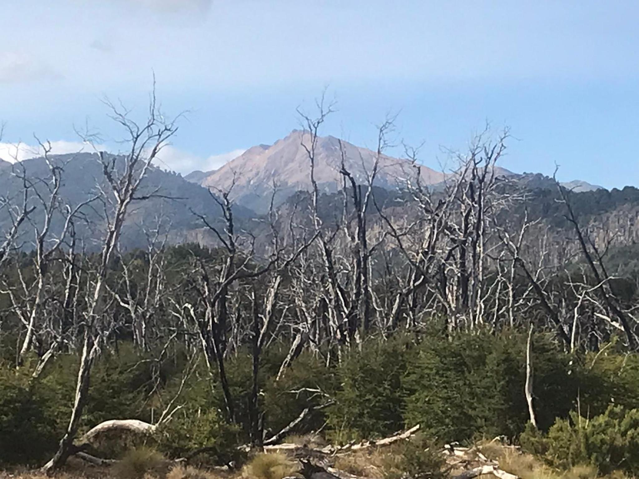 Parajes del Lejano Sur Cabaña El Calden