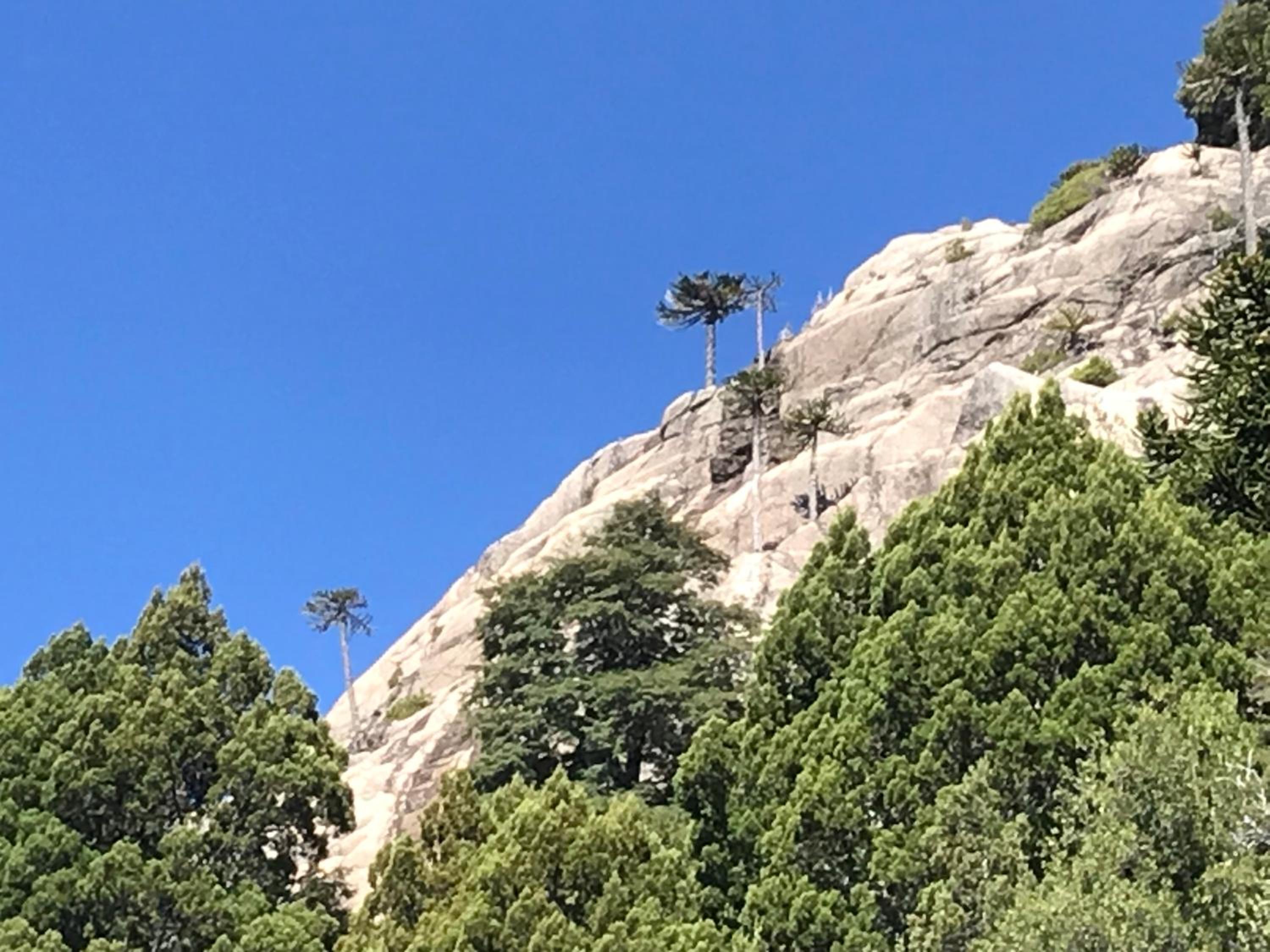 Parajes del Lejano Sur Cabaña El Calden