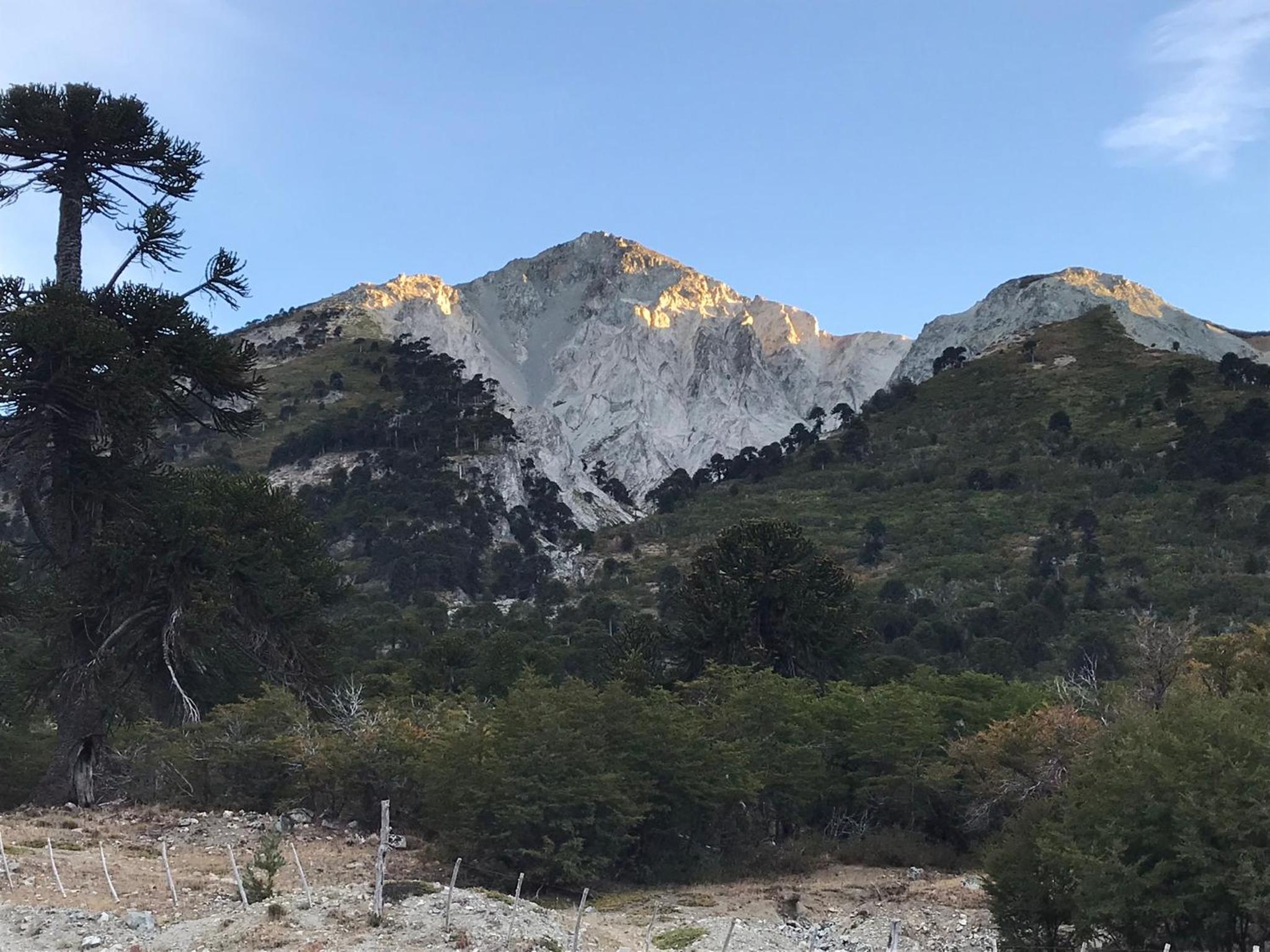 Parajes del Lejano Sur Cabaña El Calden