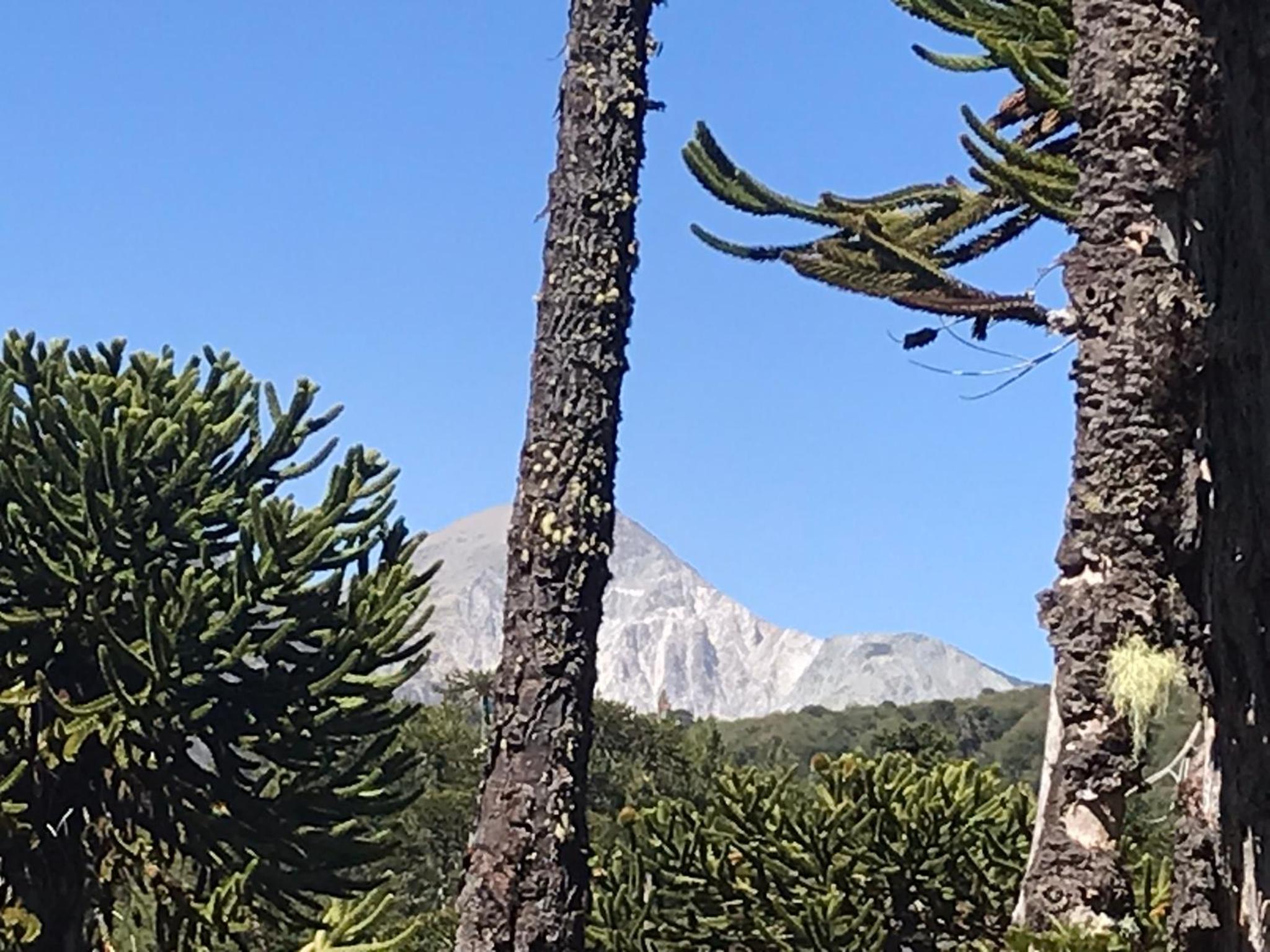 Parajes del Lejano Sur Cabaña El Calden