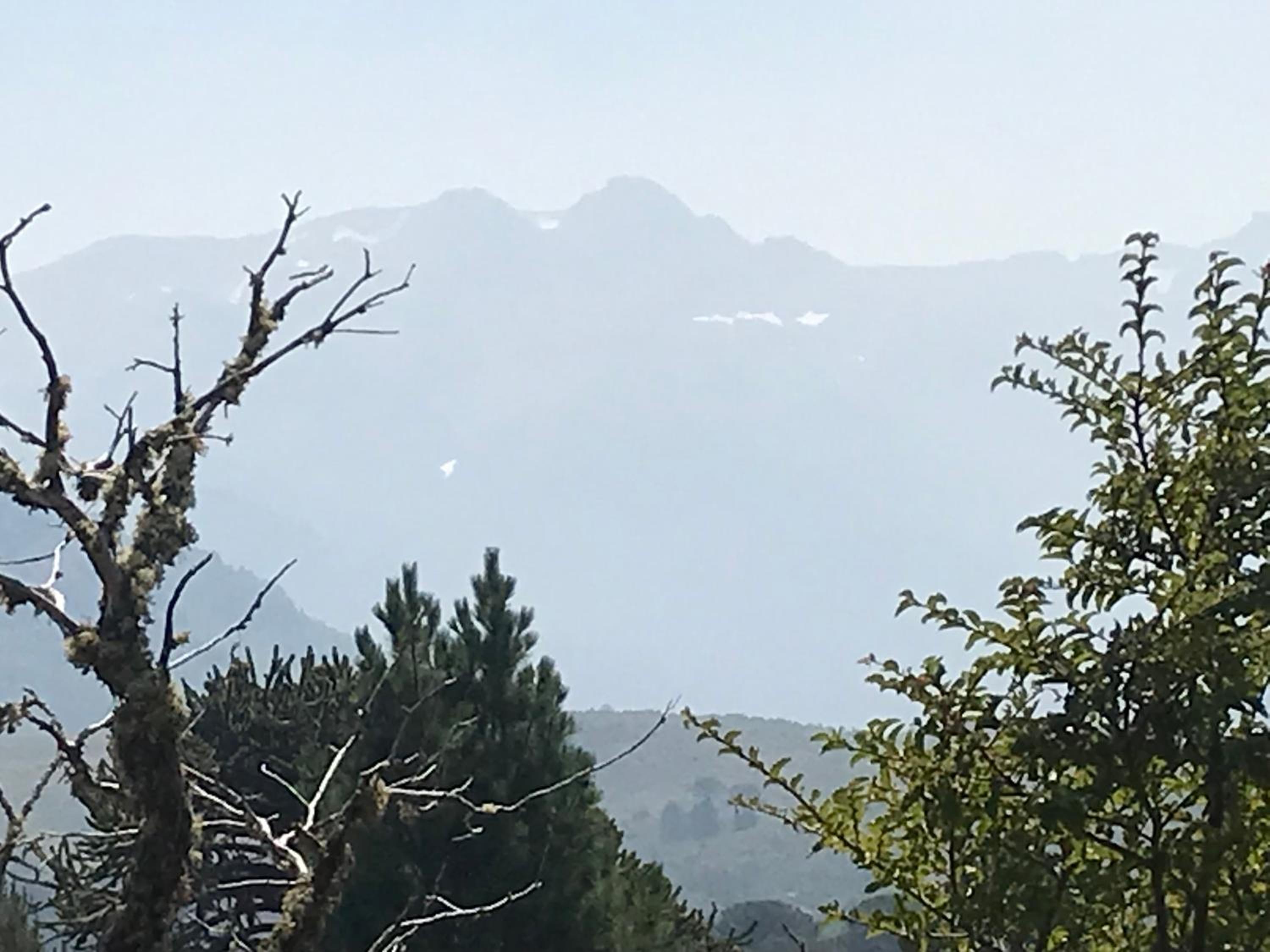 Parajes del Lejano Sur Cabaña El Calden