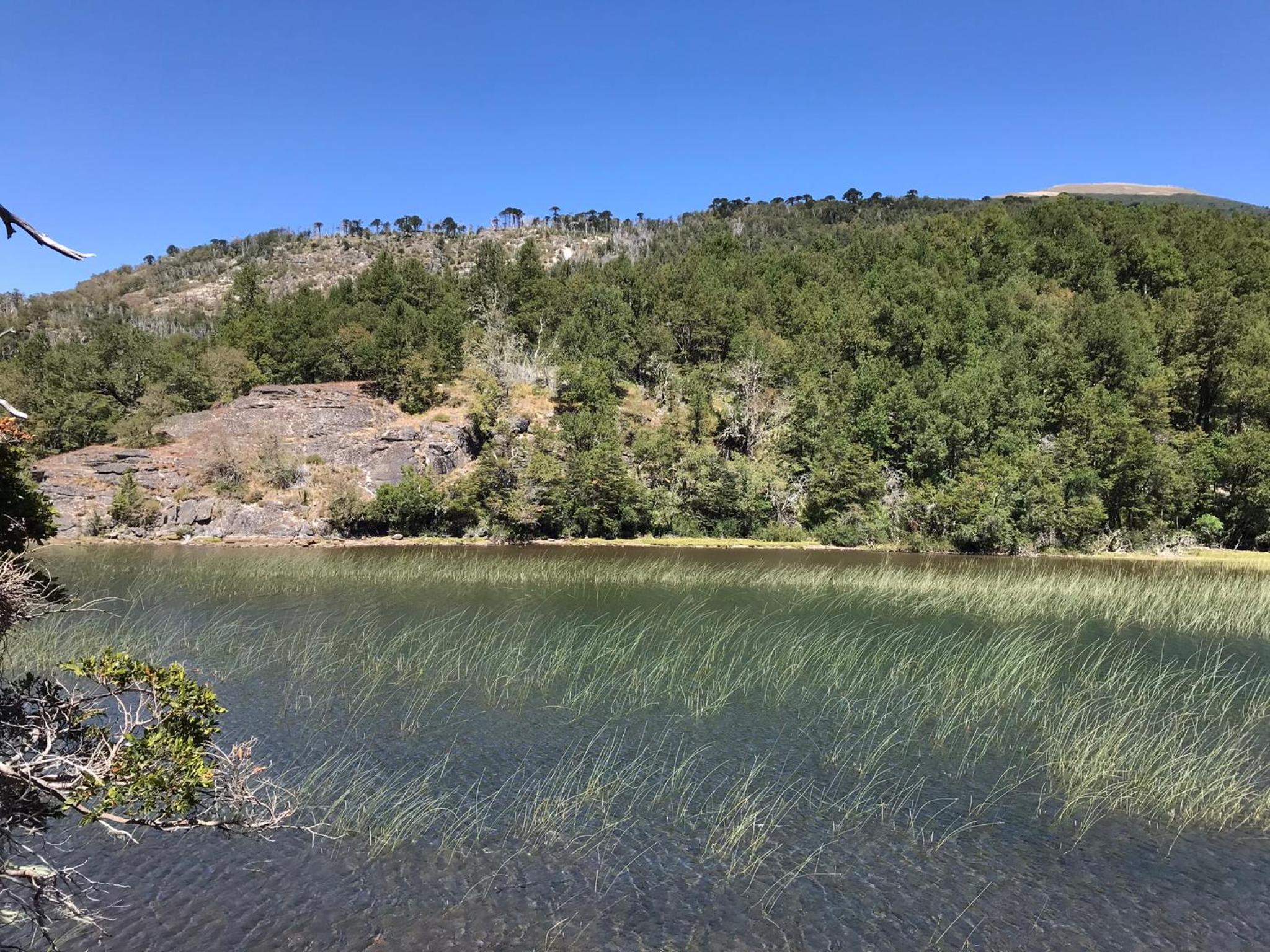 Parajes del Lejano Sur Cabaña El Calden
