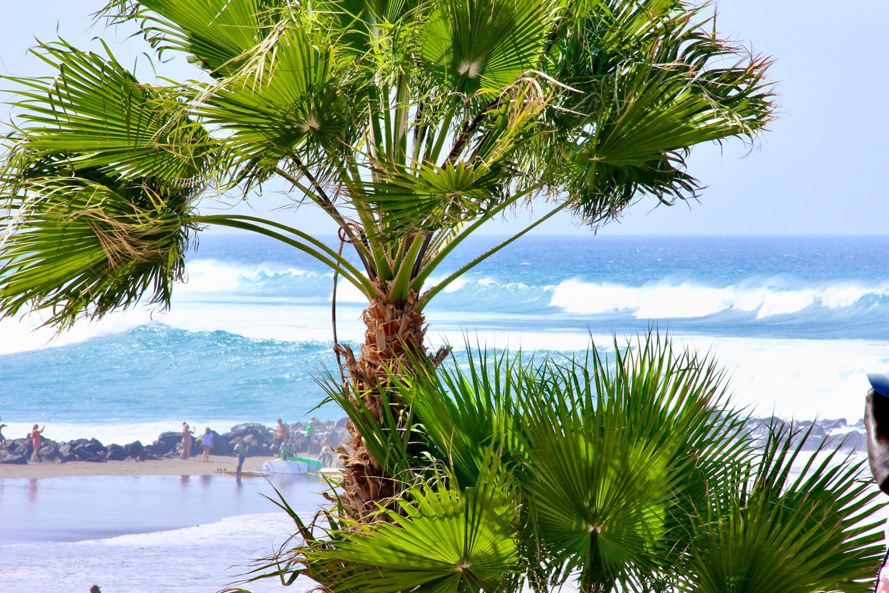 Apartamento Frente al Mar con gran terraza