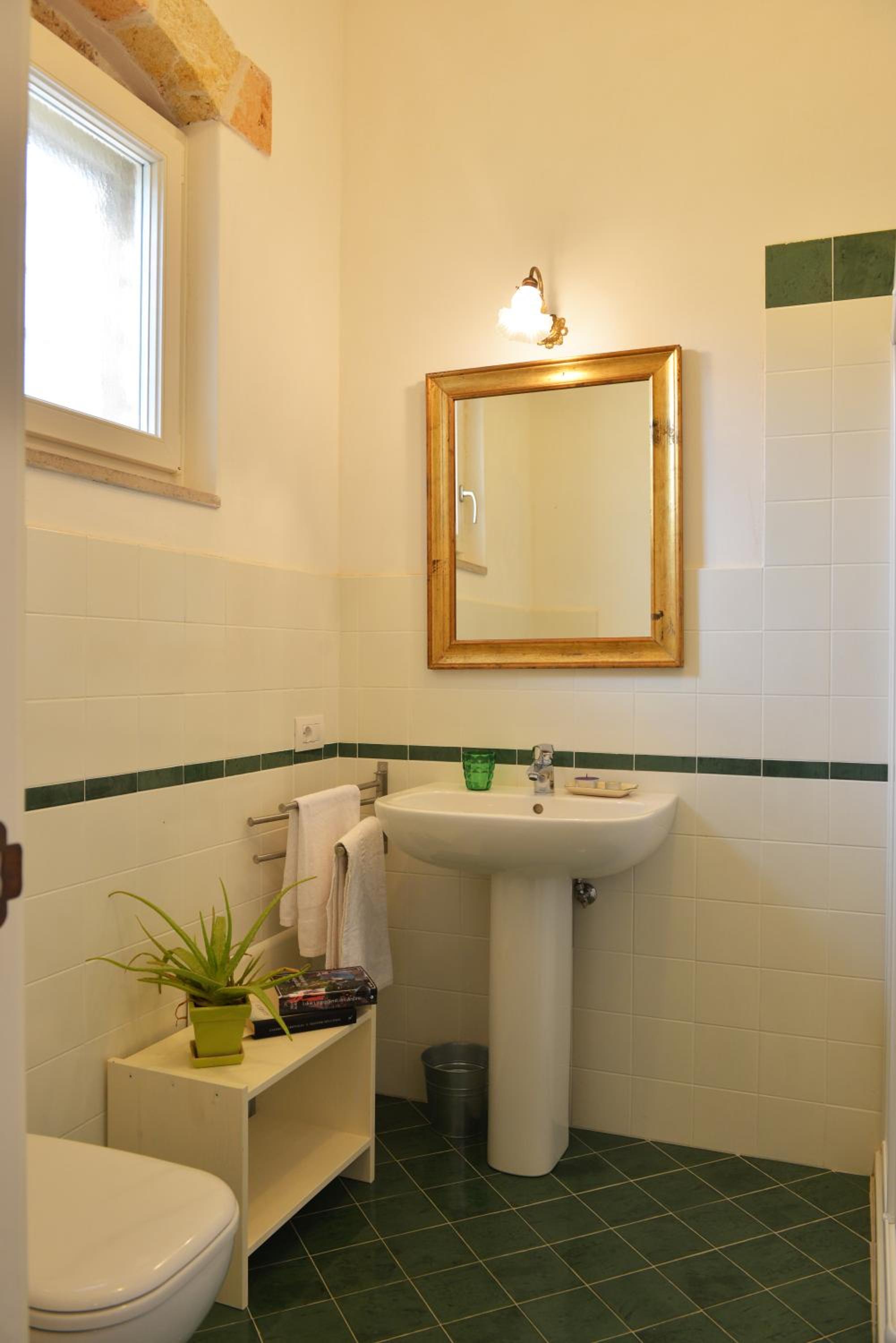 Photo 42