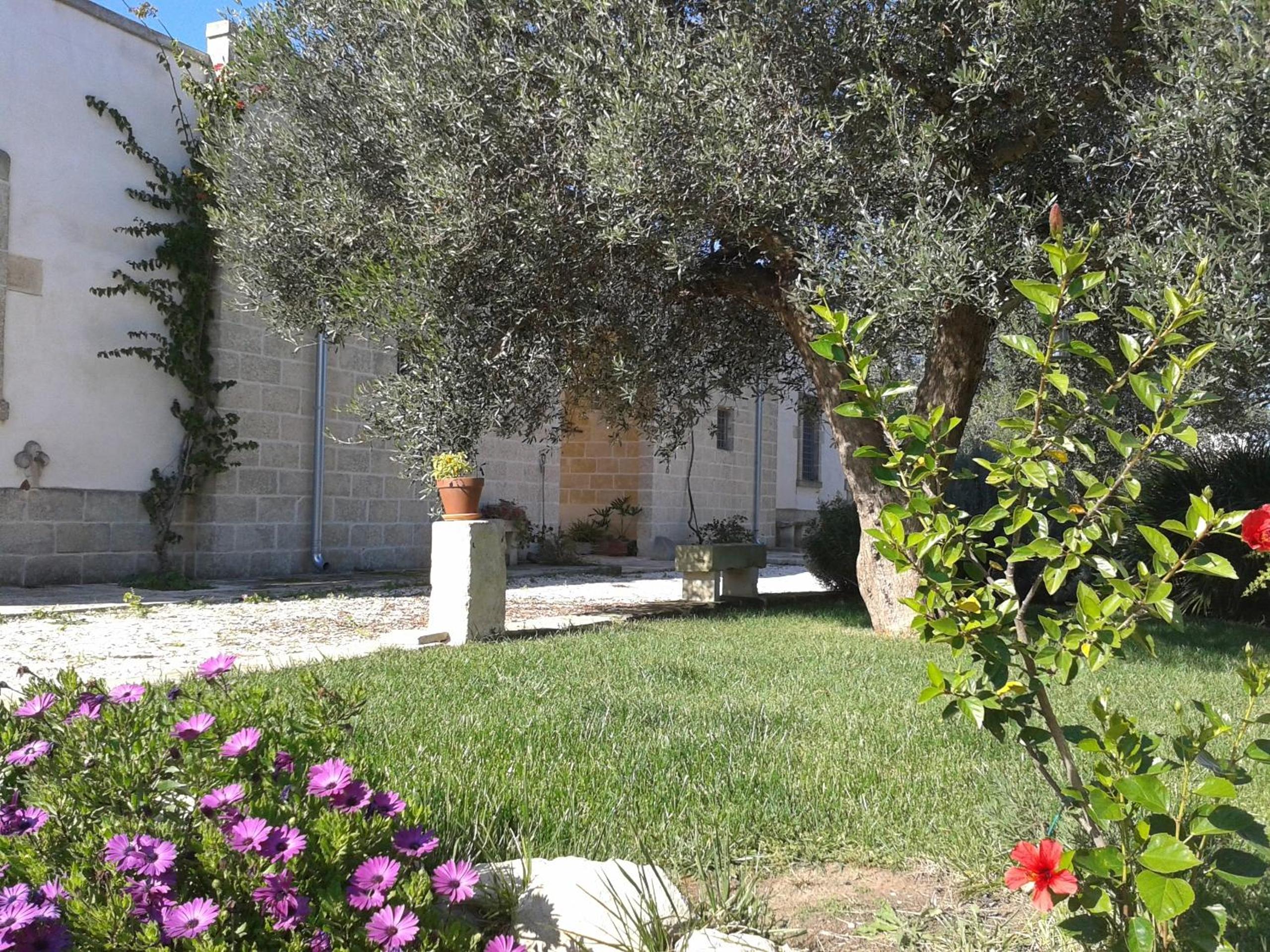 Photo 49