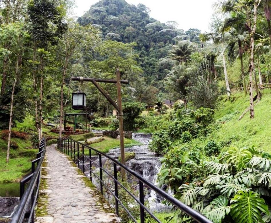 Araucarias Inn 2