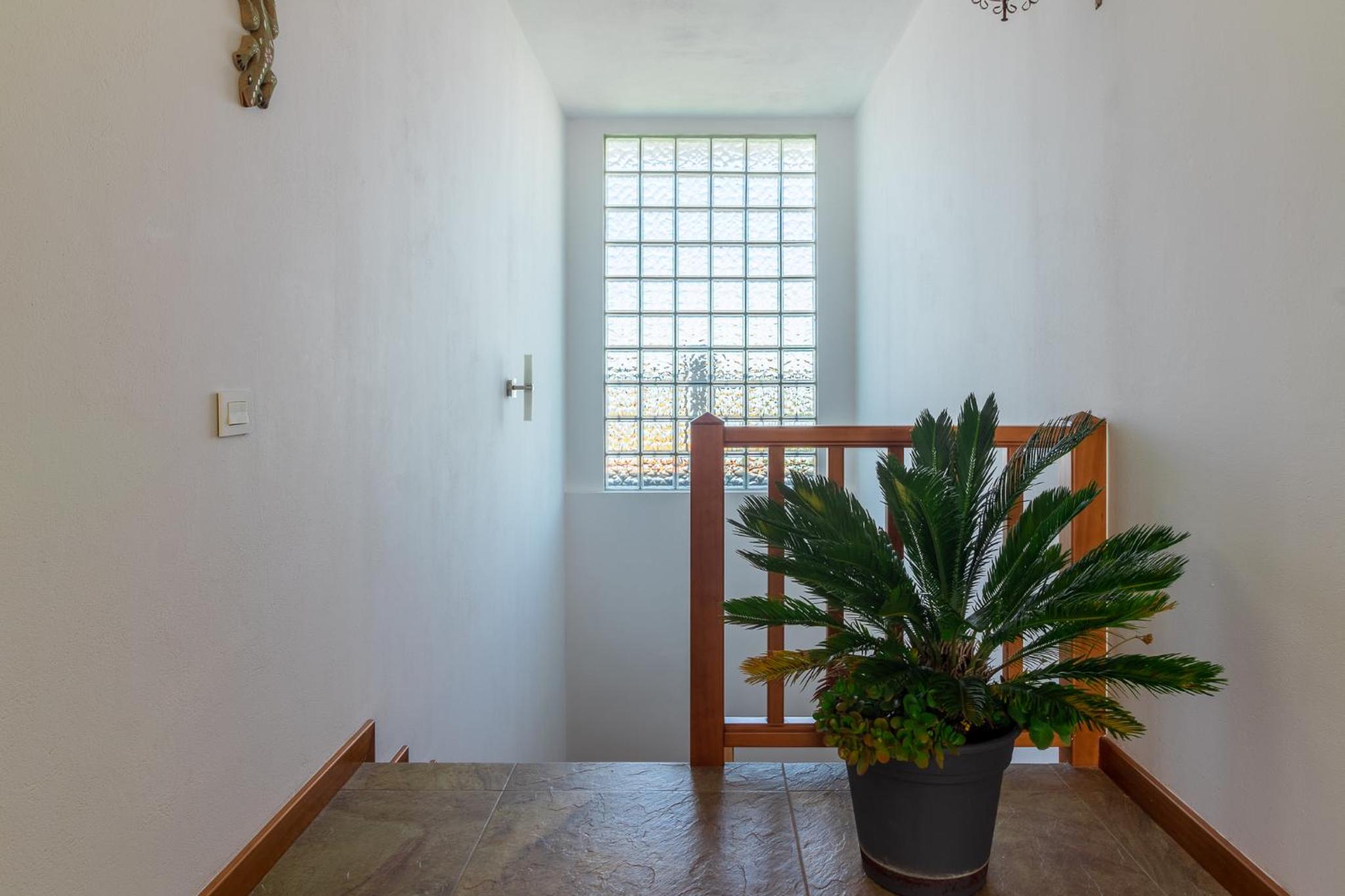 Villa de Pino