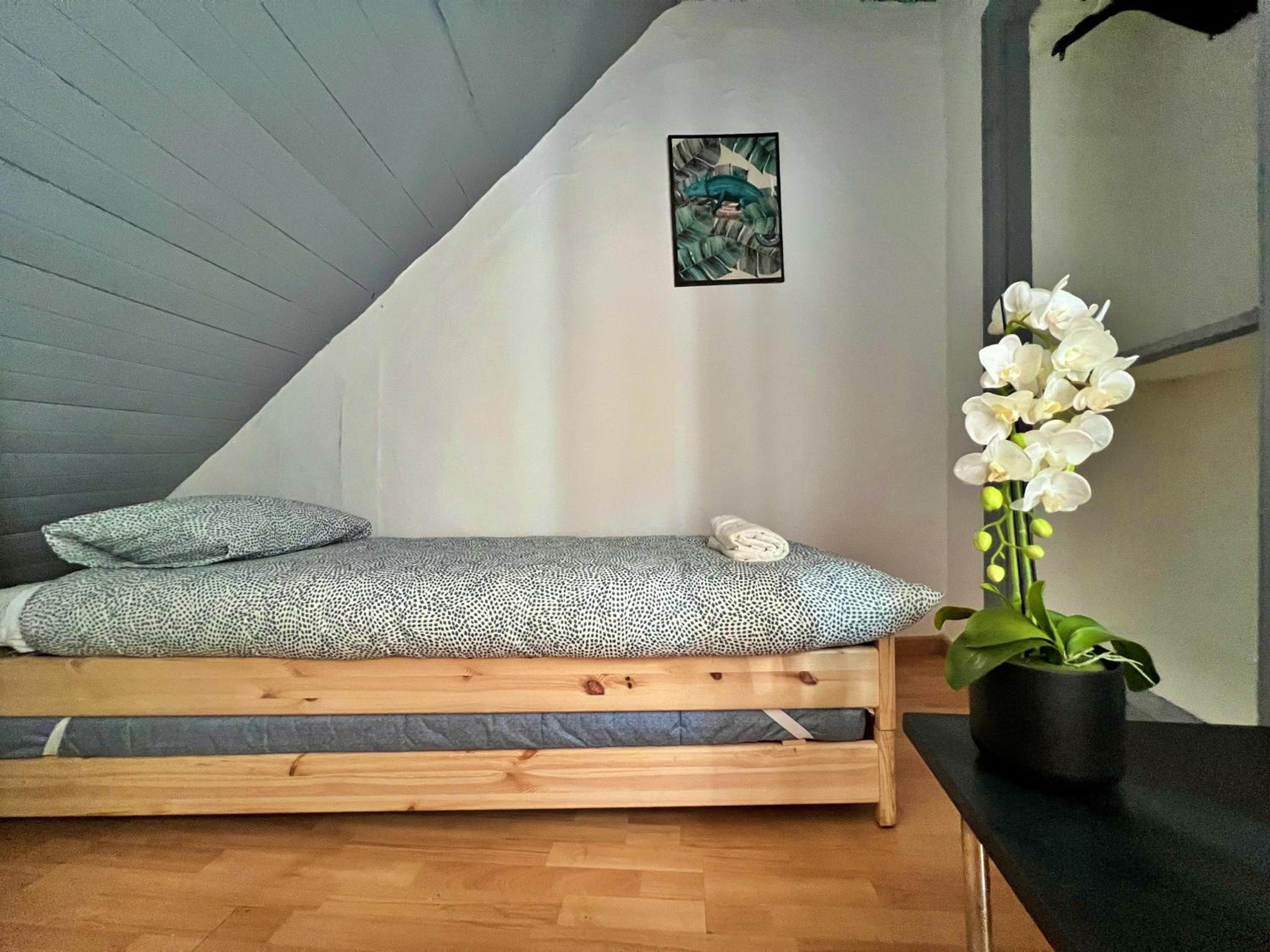 Cosy Mouraria Rooms
