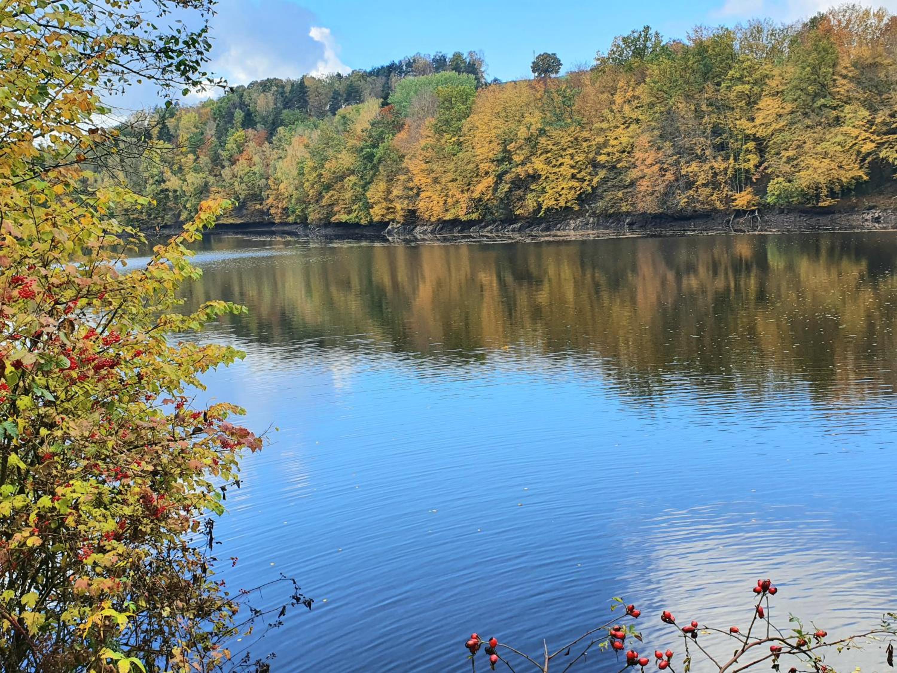 Holzhaus am See mit Panoramablick