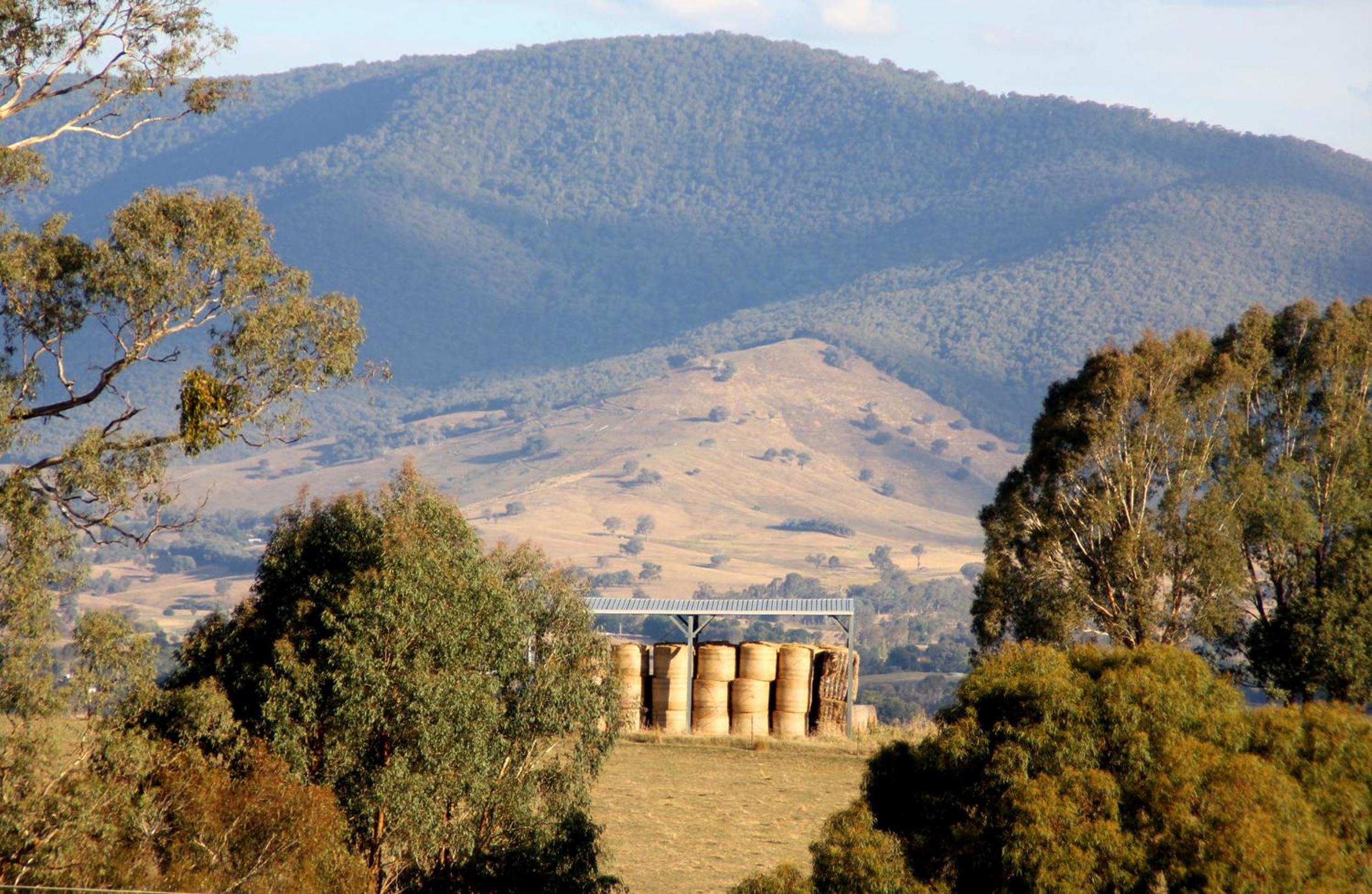 Yackandandah farm homestead