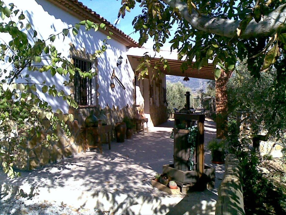 Photo 17