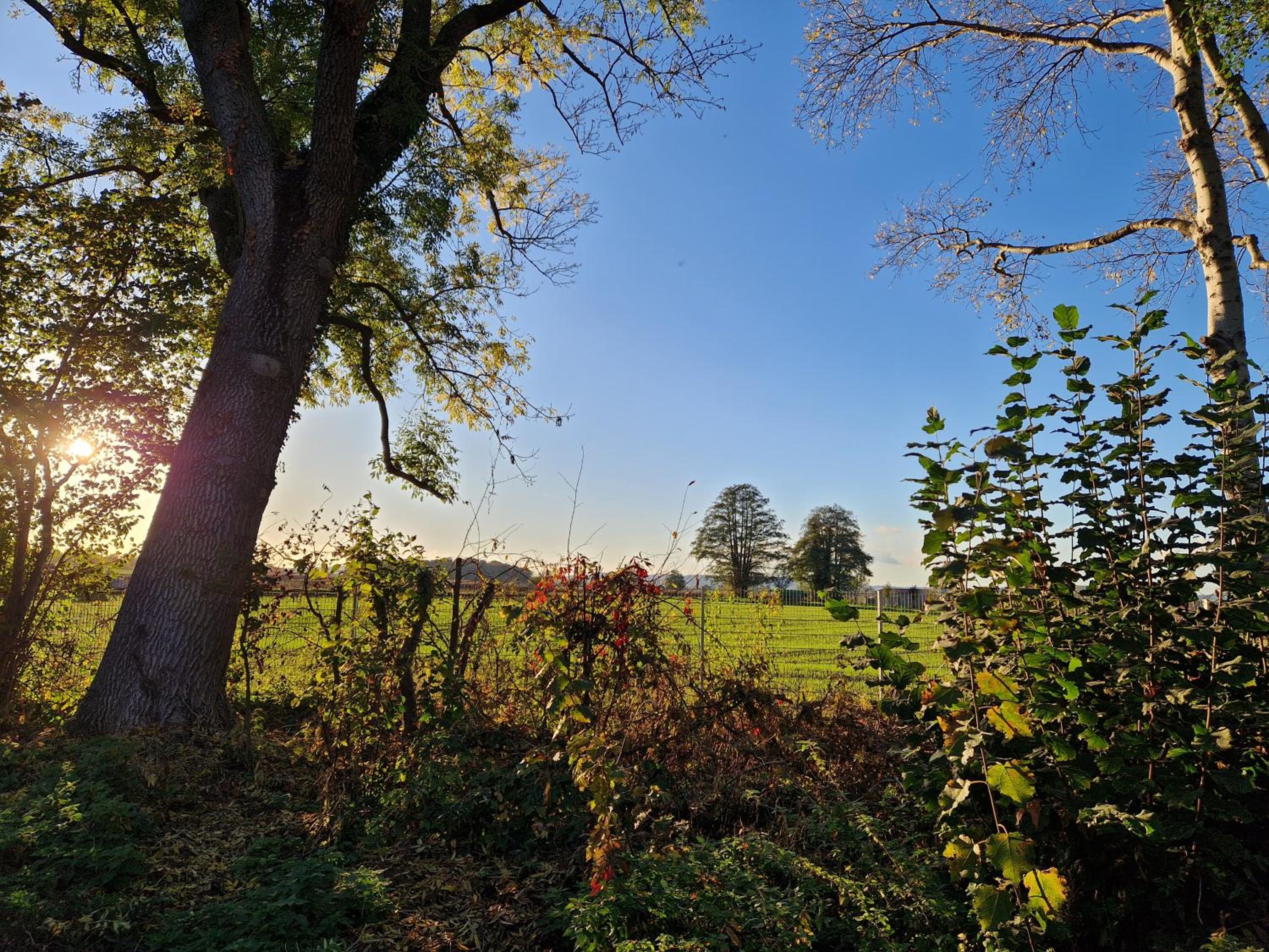 Wohnen am Wasserschloss Sandizell