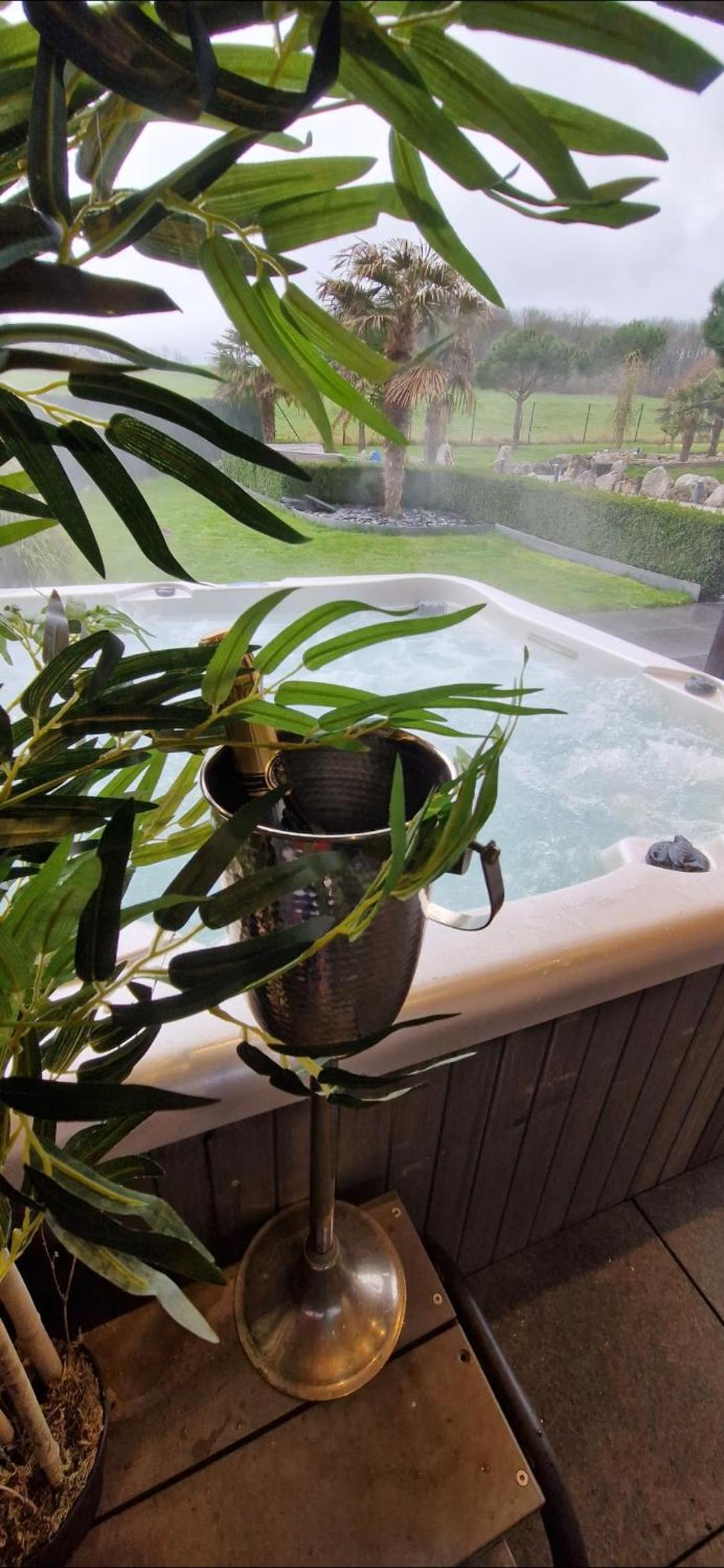 LA VILLA DE SENY , villa de charme avec jardin ,Piscine nature, jacuzzi , petanque, fitness, billard,ping pong,
