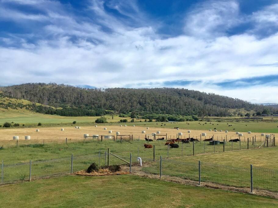 Old Entally Farm