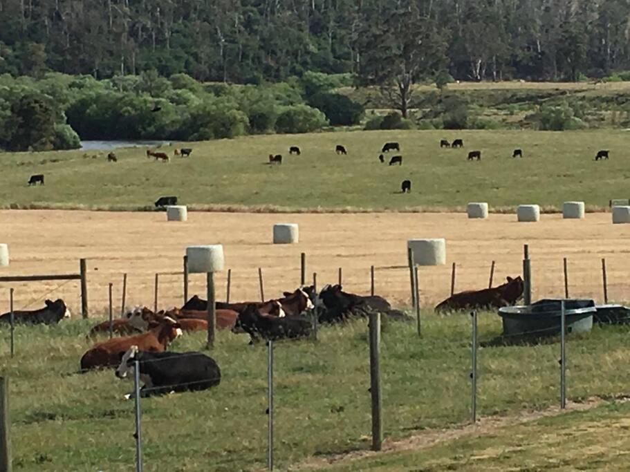 Old Entally Farm
