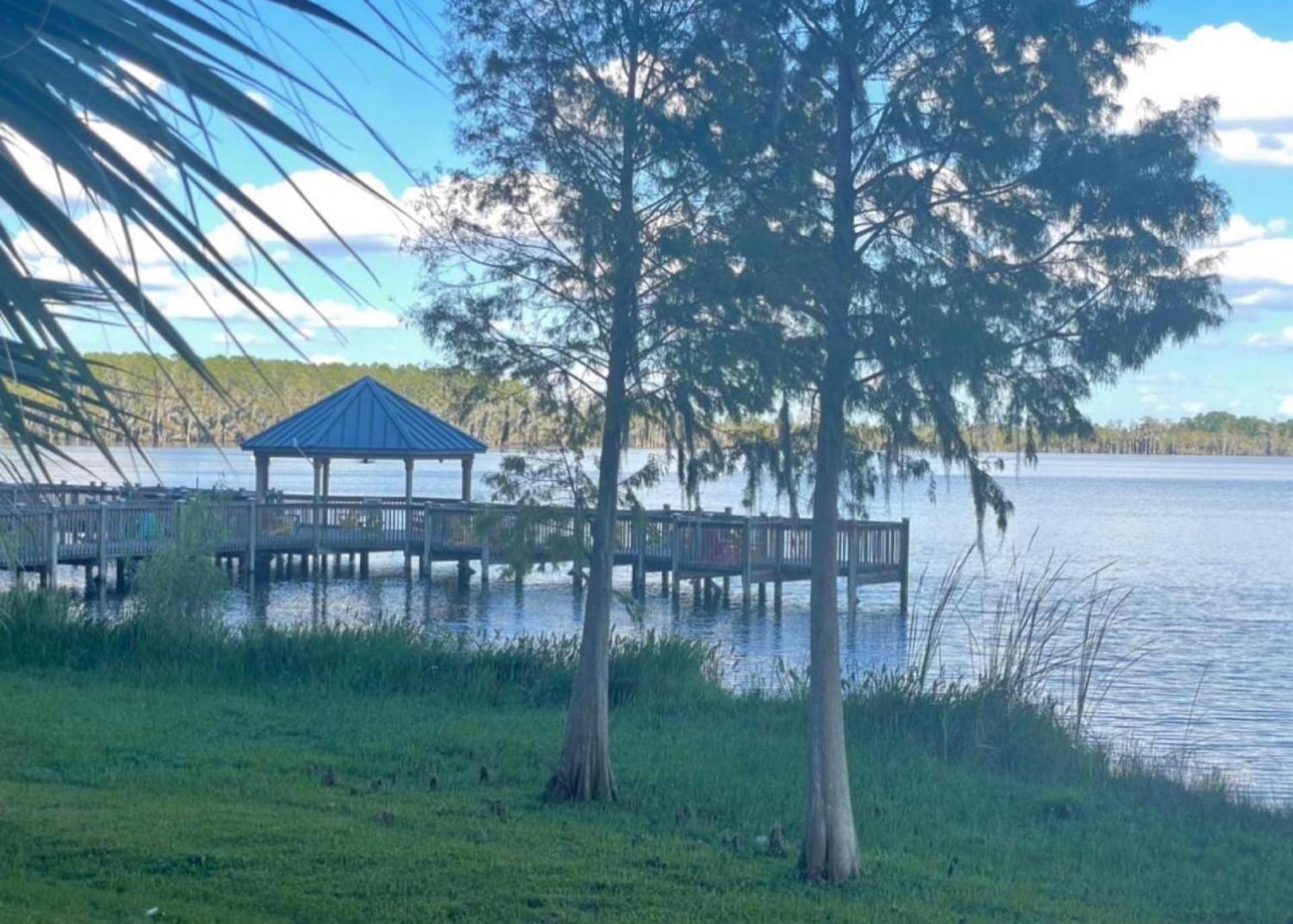Disney 1 mile , Blue Heron 1 room 2 bath,amenities,6 guests, walk to restaurants, no fees at check in or check out