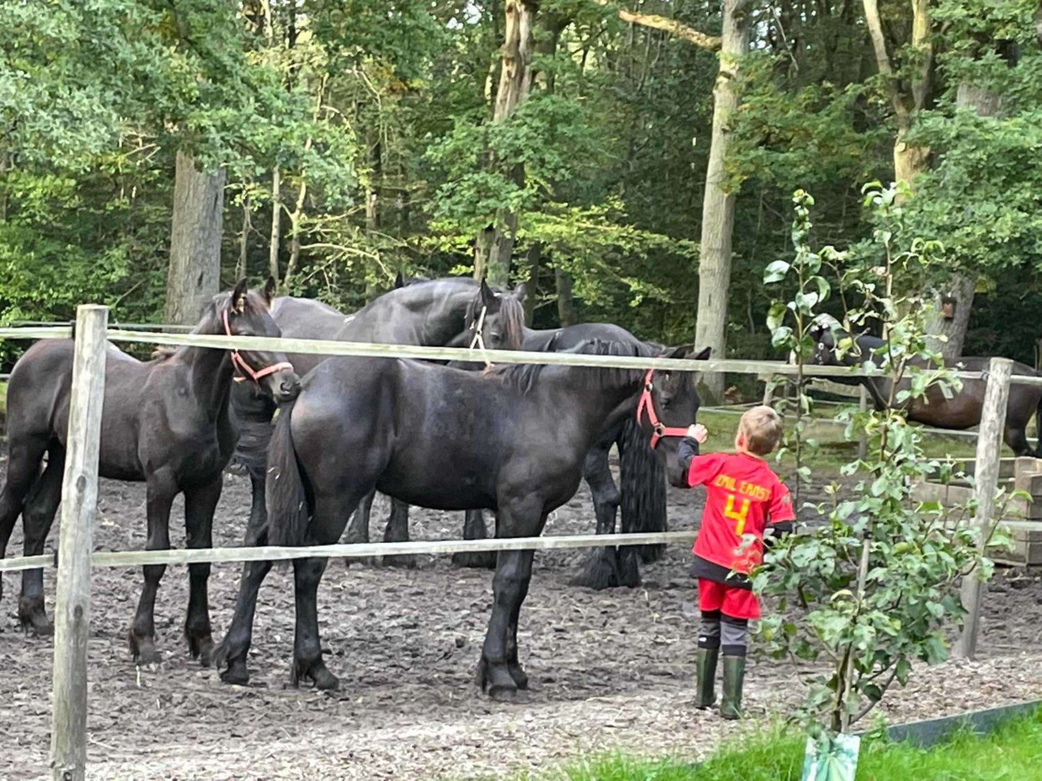 de Swaenhoeve