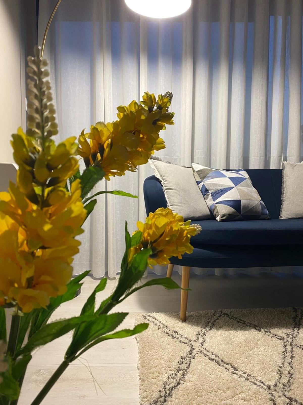 Alma Rose Apartment