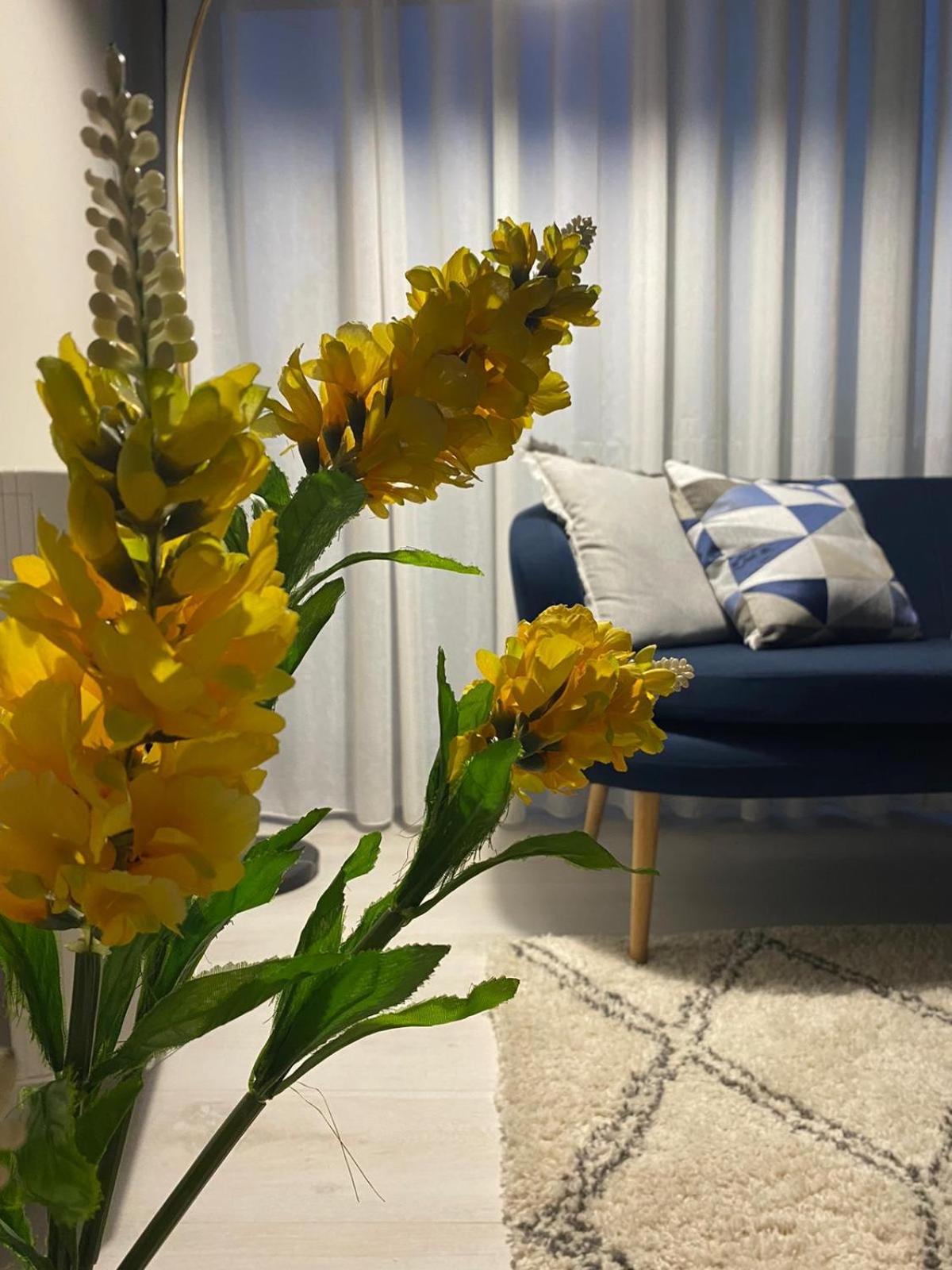 Alma Rose Apartment