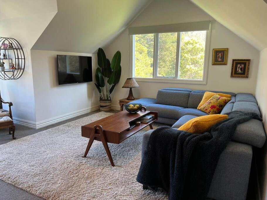 Lucille with a view