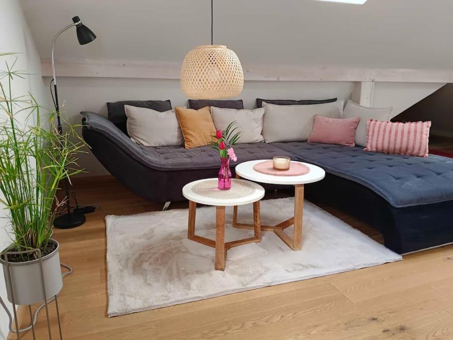 Haus Grünfels ApARTment