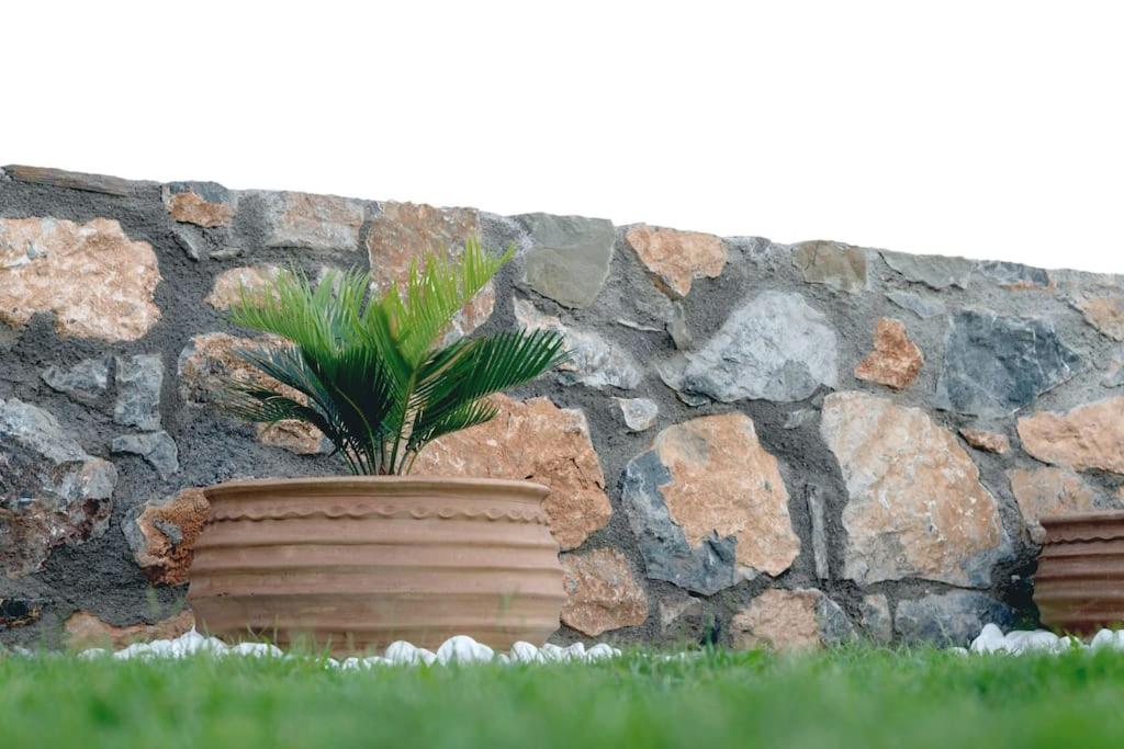 Villa Panthea