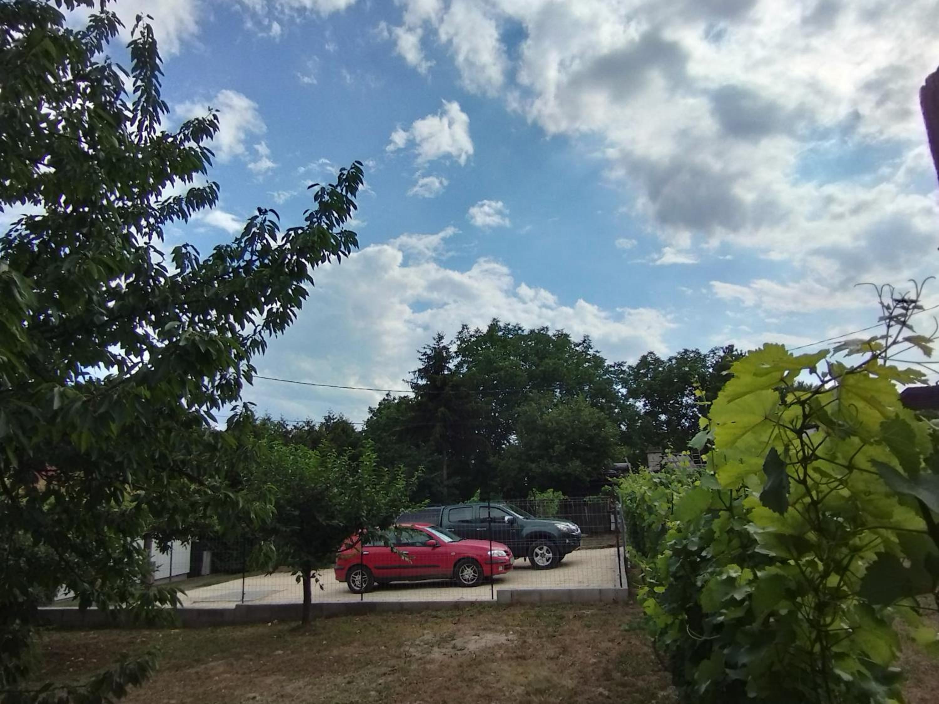 Photo 29