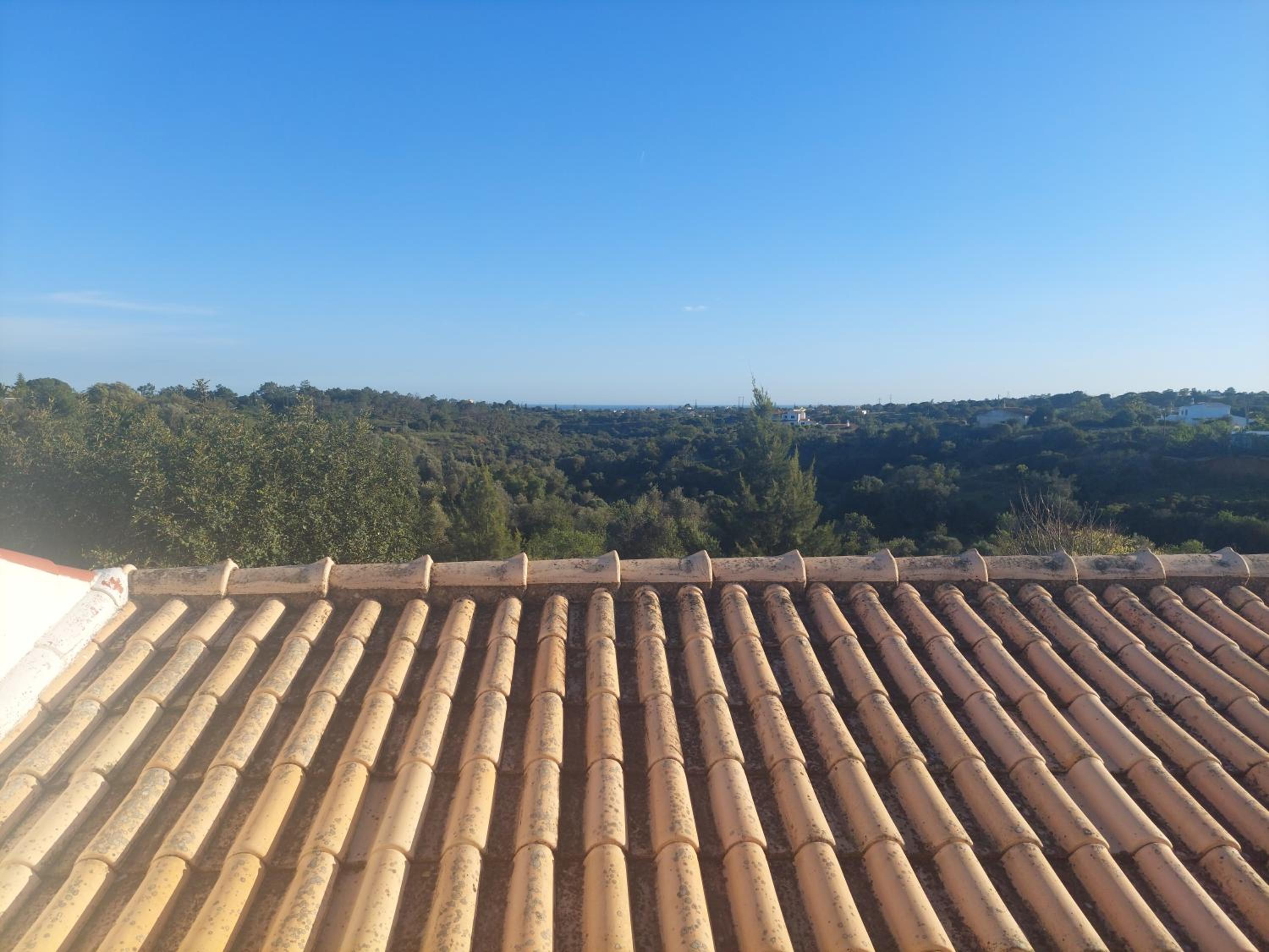 Casa Alexandra view 5