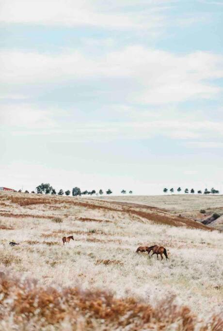 The Oaks Country Getaway