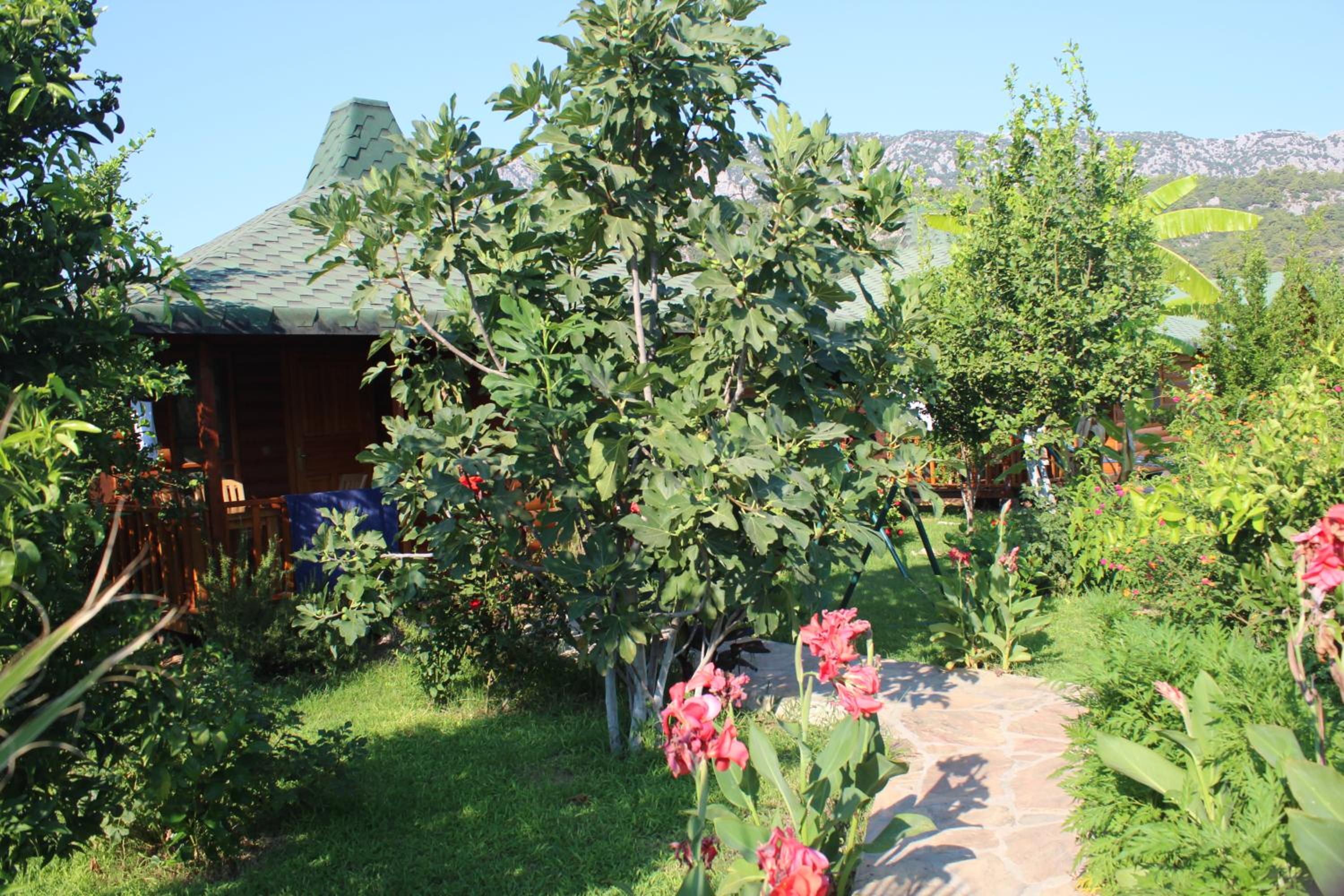 Photo 25