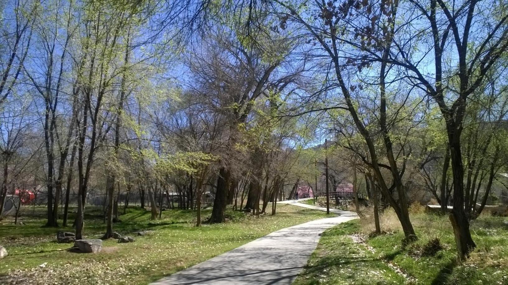 Rustic Inn, photo 15