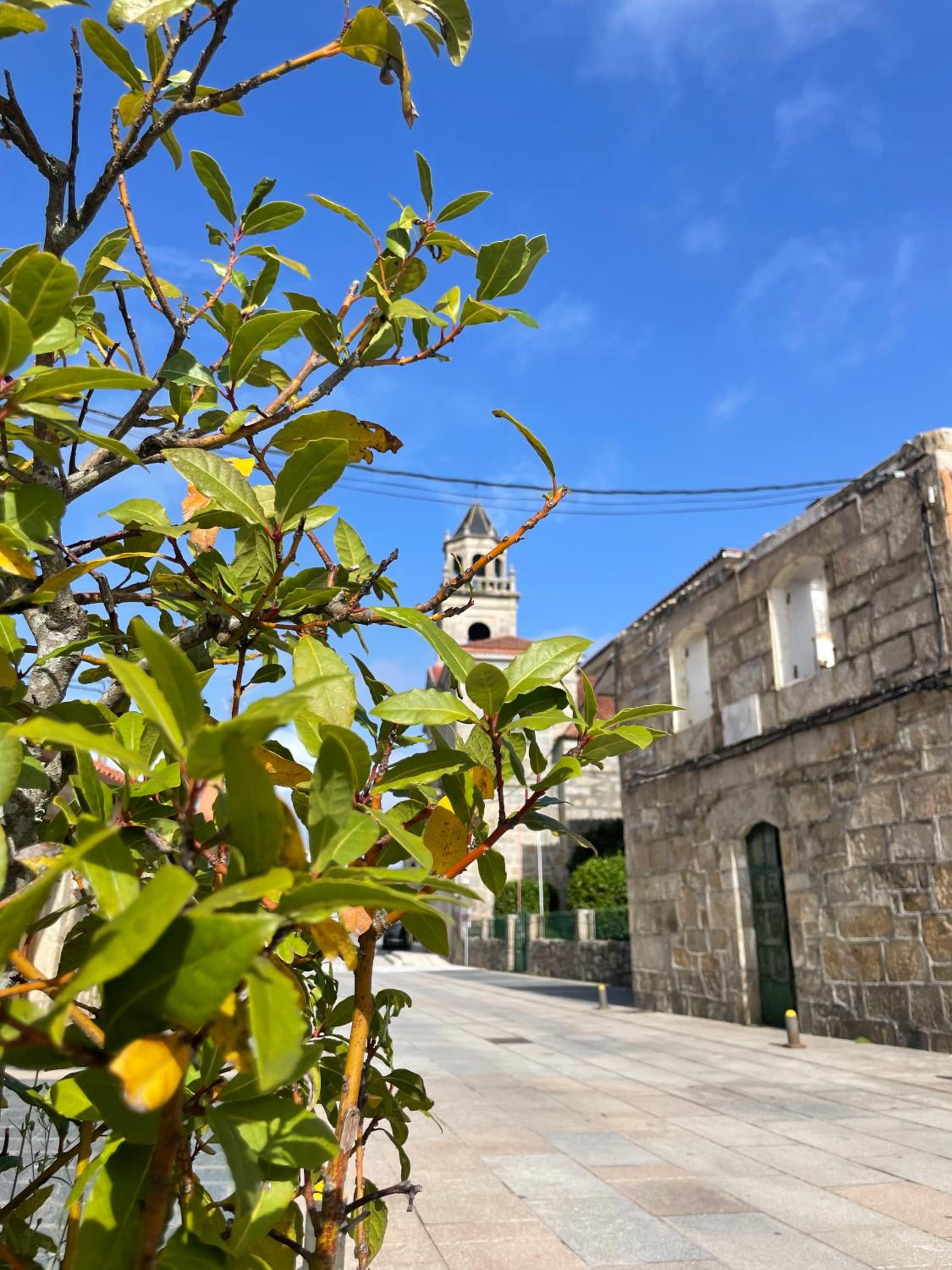 Marujita Vilanova, Boutique Lofts en el Centro Histórico