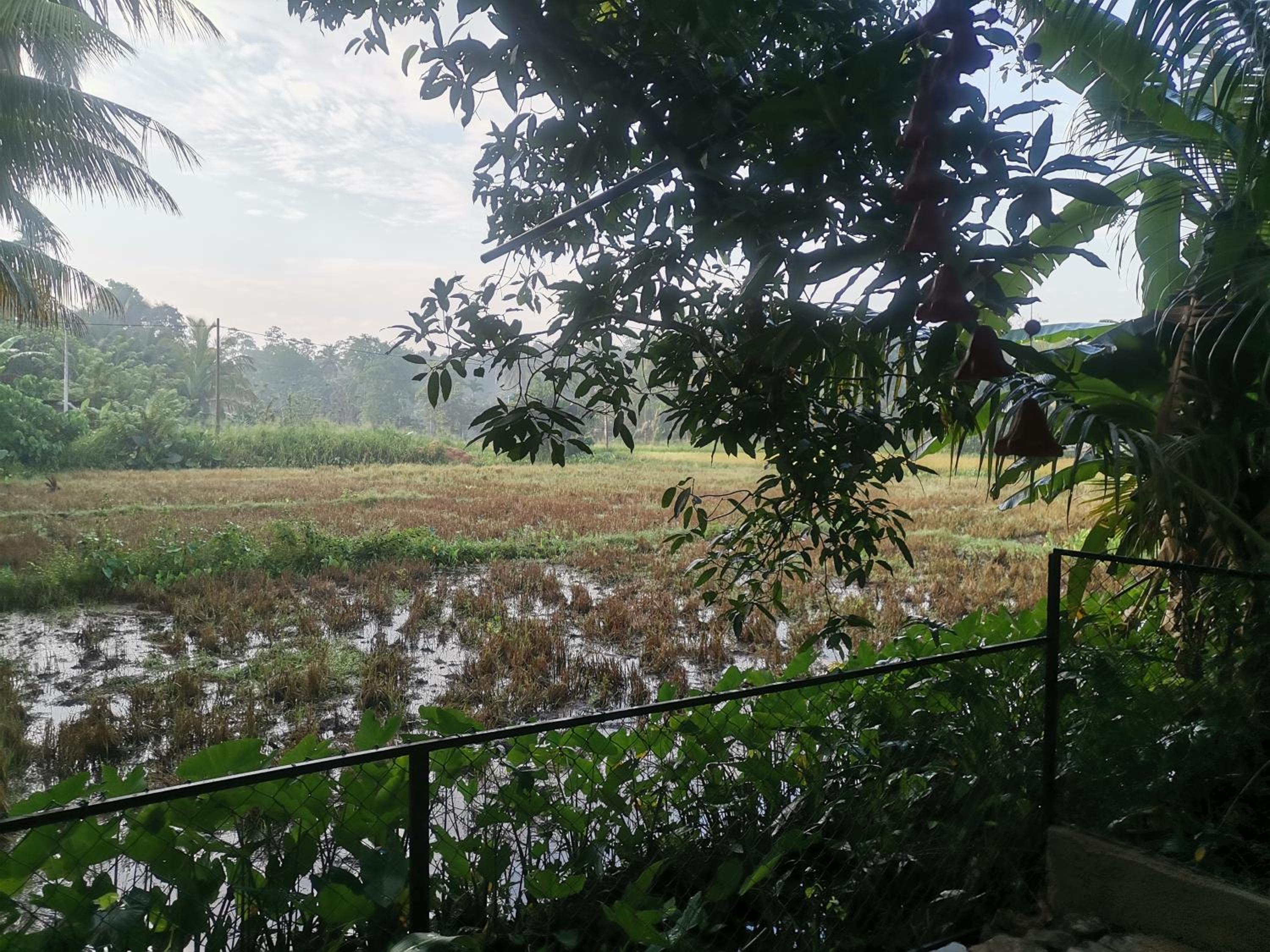Ceylon Ramble Villa view 2