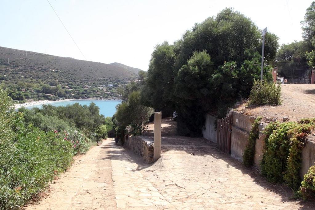 Villa Olivastro
