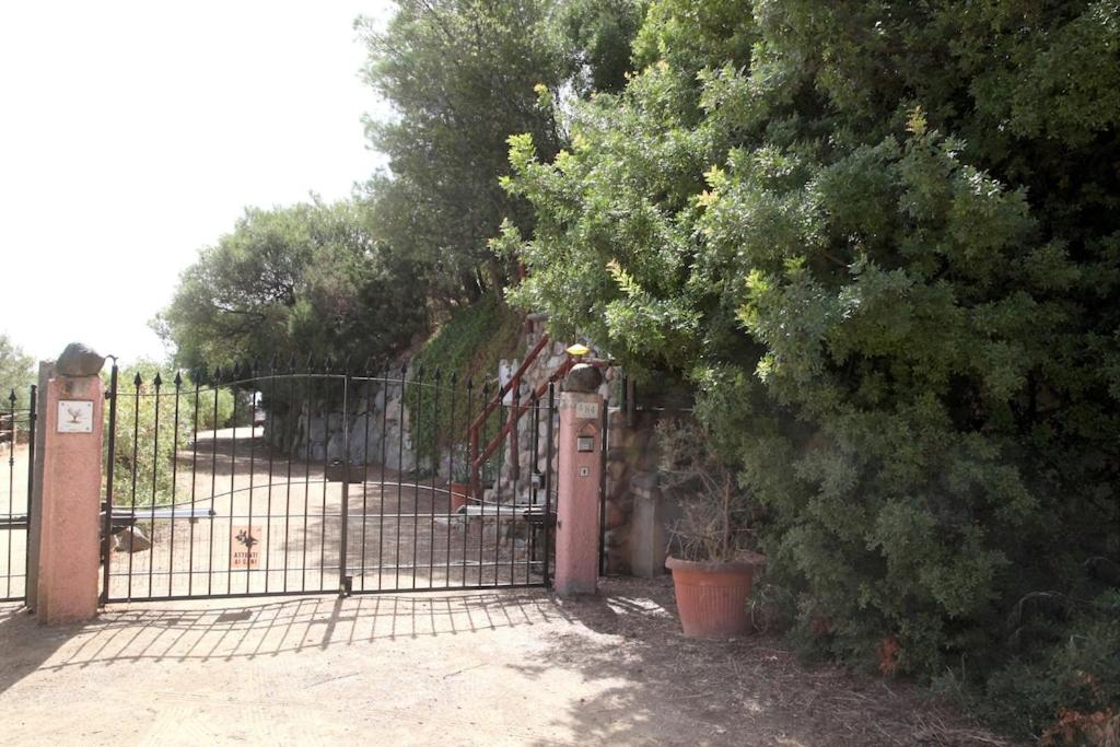 Villa Olivastro