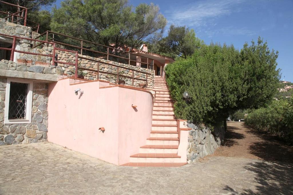 Villa Olivastro