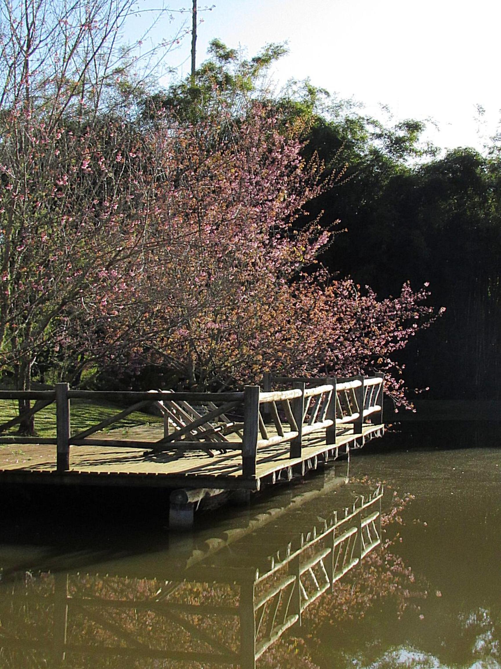 Pousada Rural Recanto do Lago