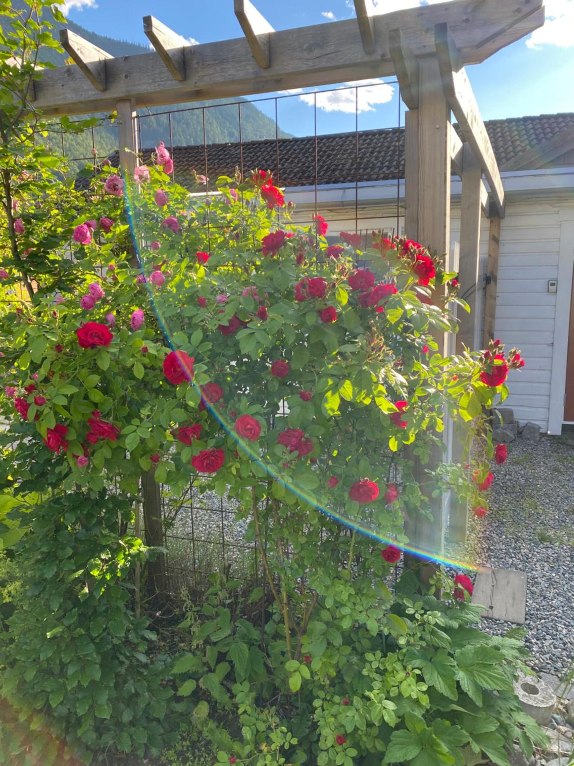 Photo 18