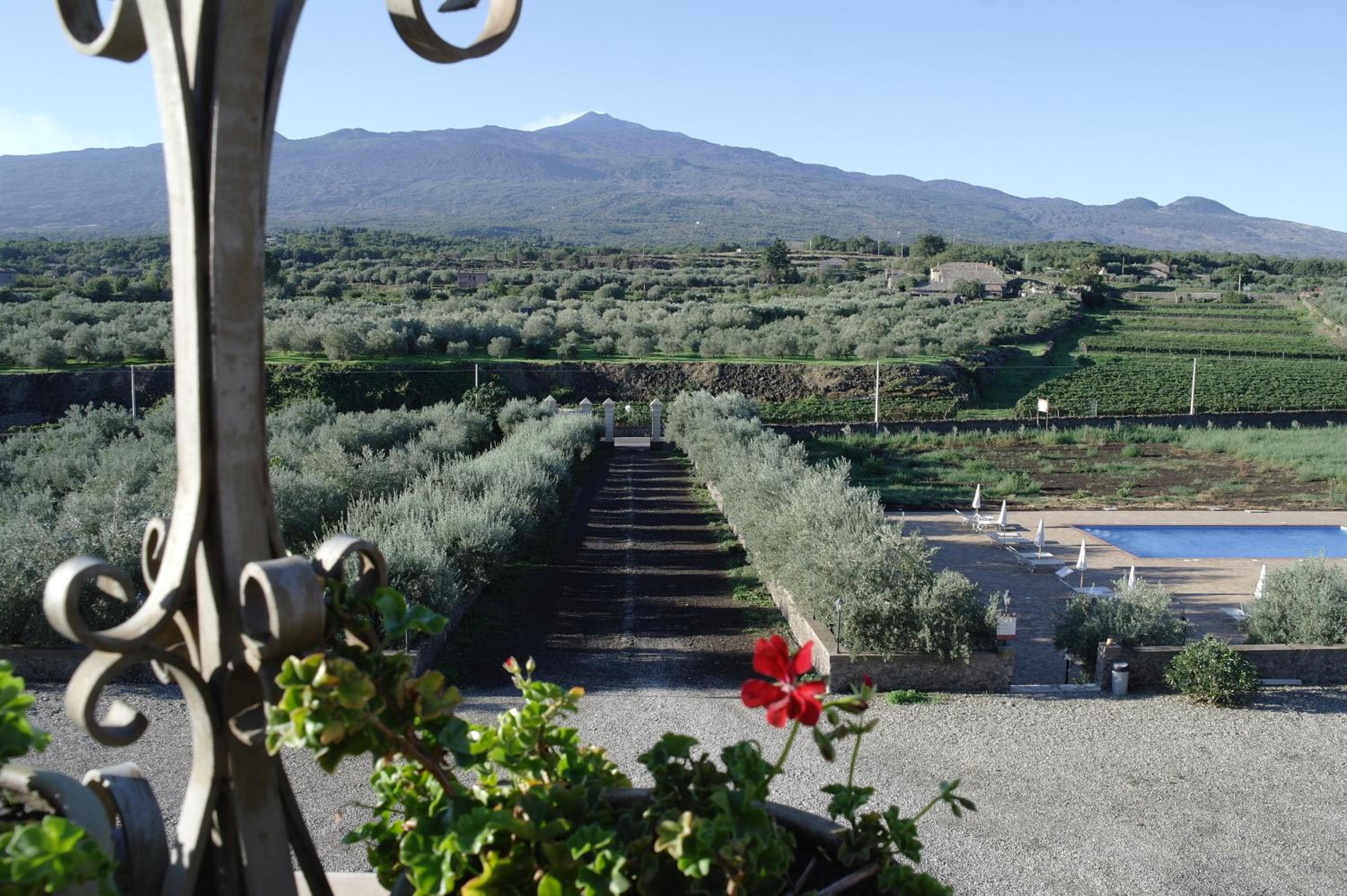 Feudo Vagliasindi -Wine Experience- view 4