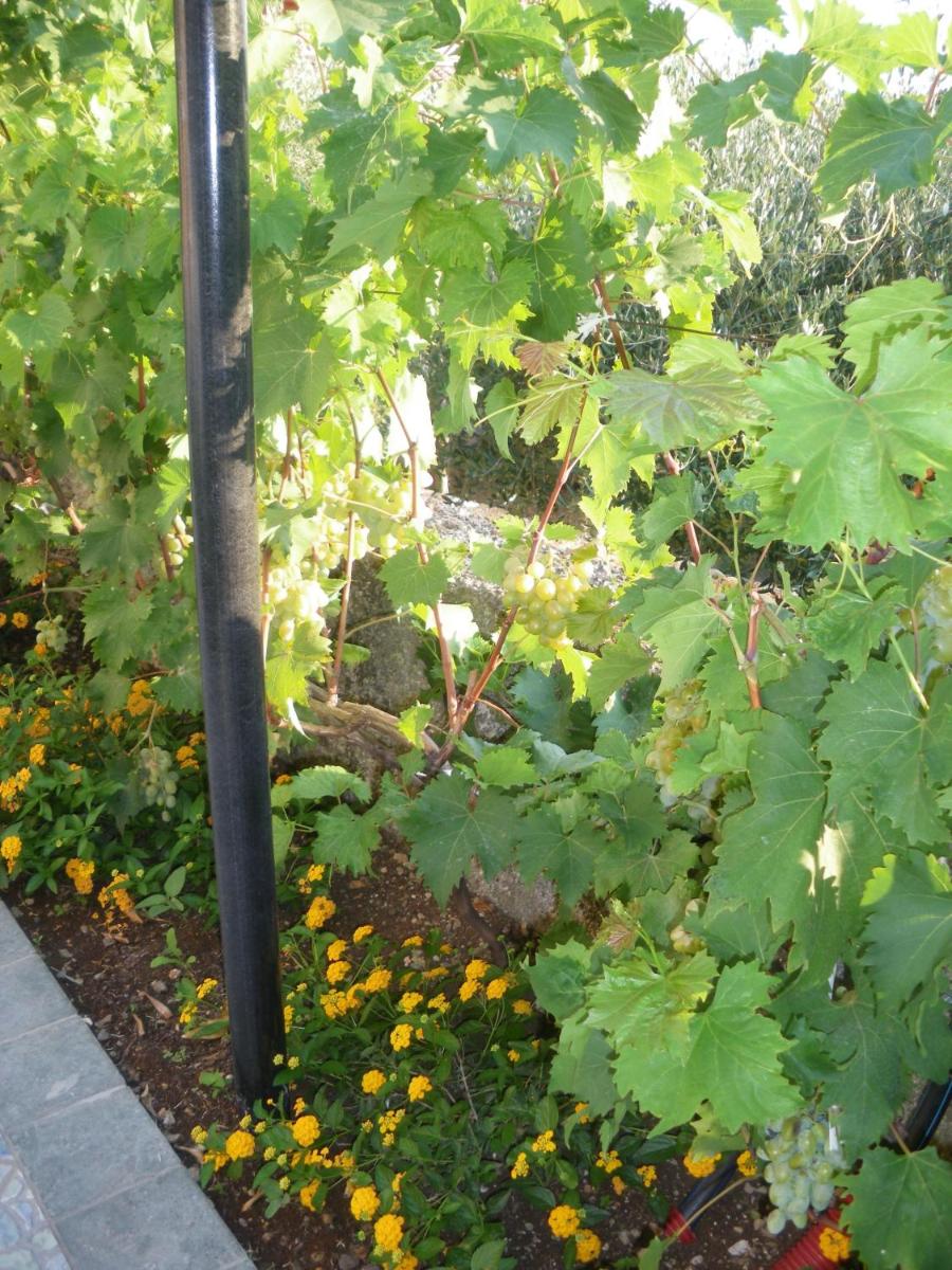 Photo 26