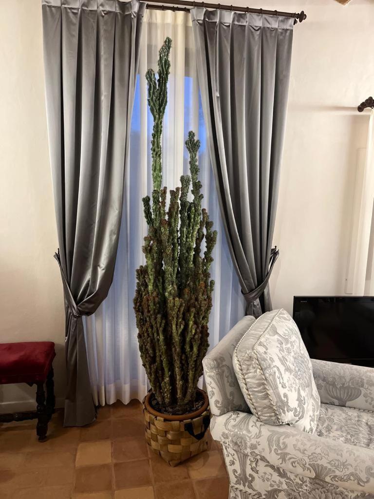 Photo 37