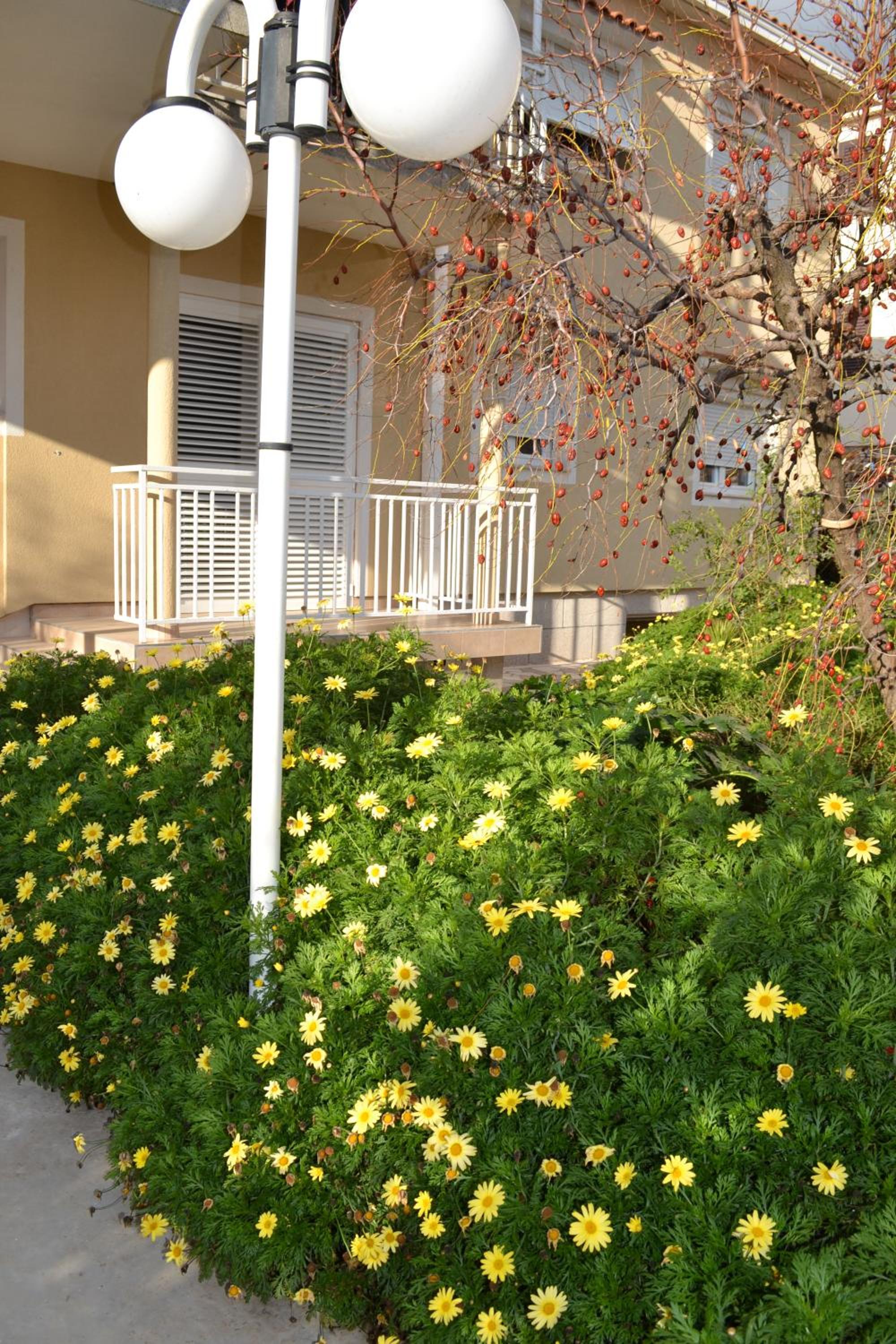 Apartments Sanda