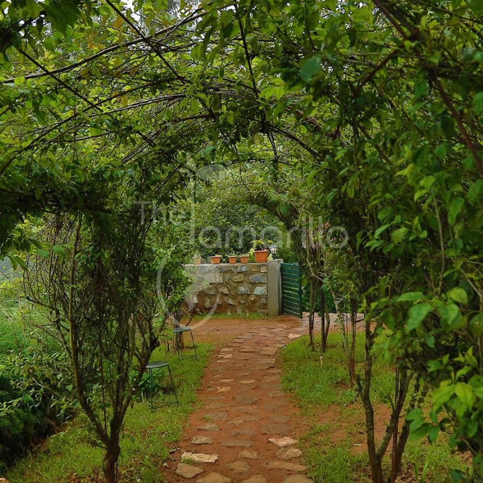 Photo 17