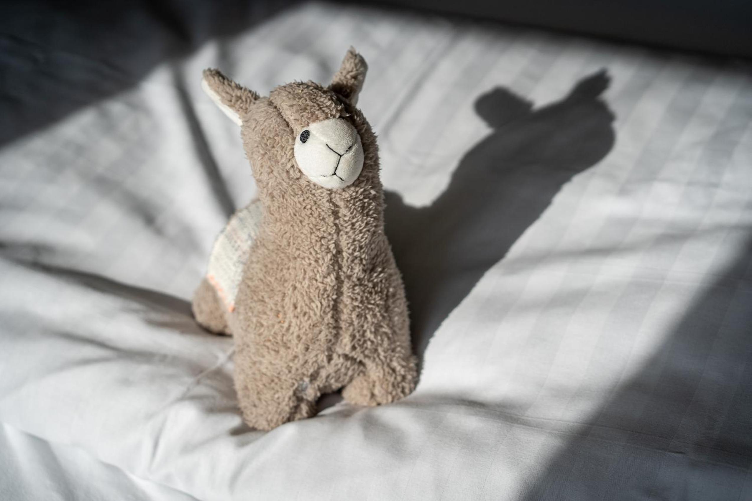 Reetdachhaus De Hygge Kaat Reetdachhaus De Hygge Kaat