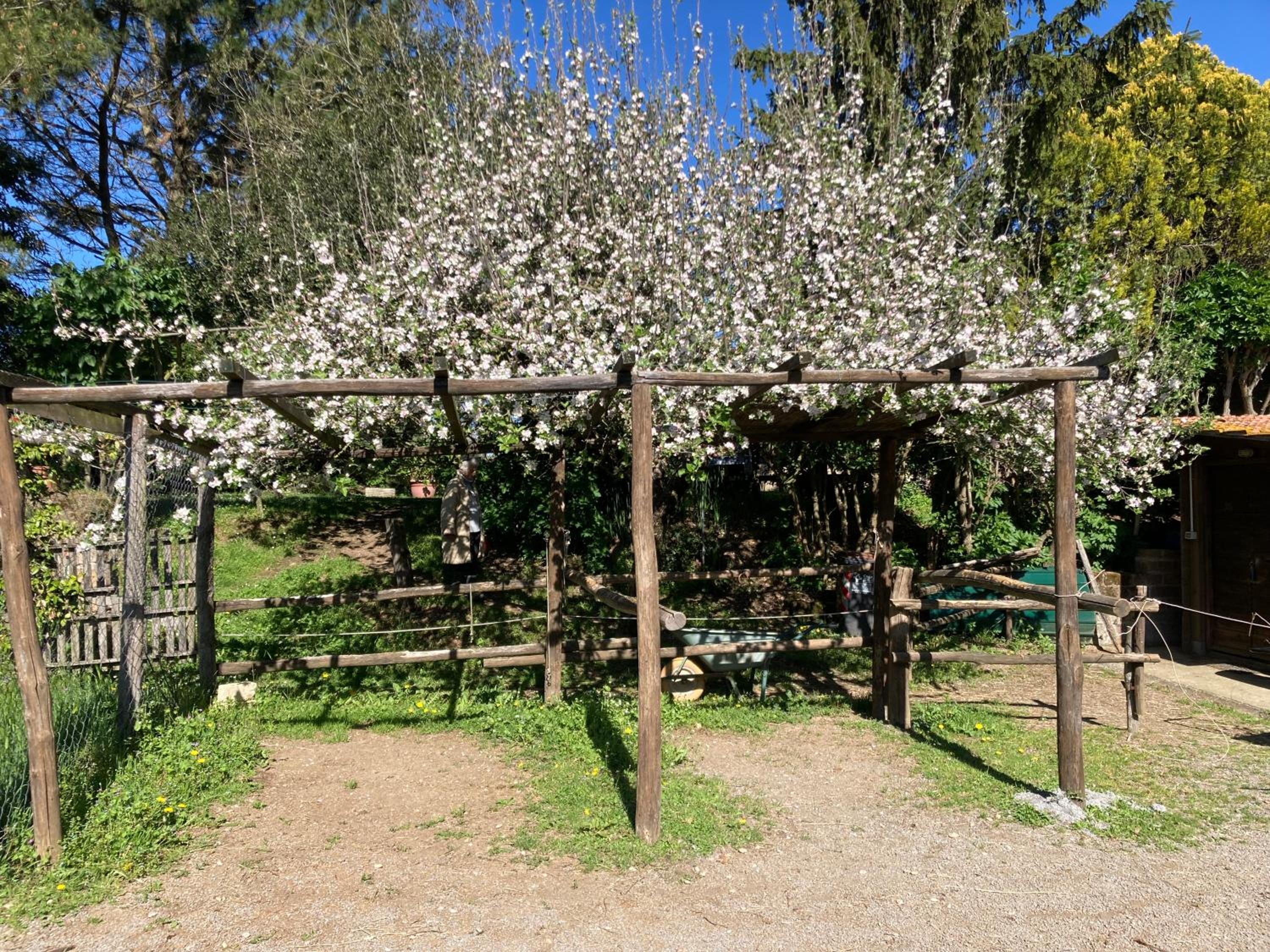 Podere Delle Rose