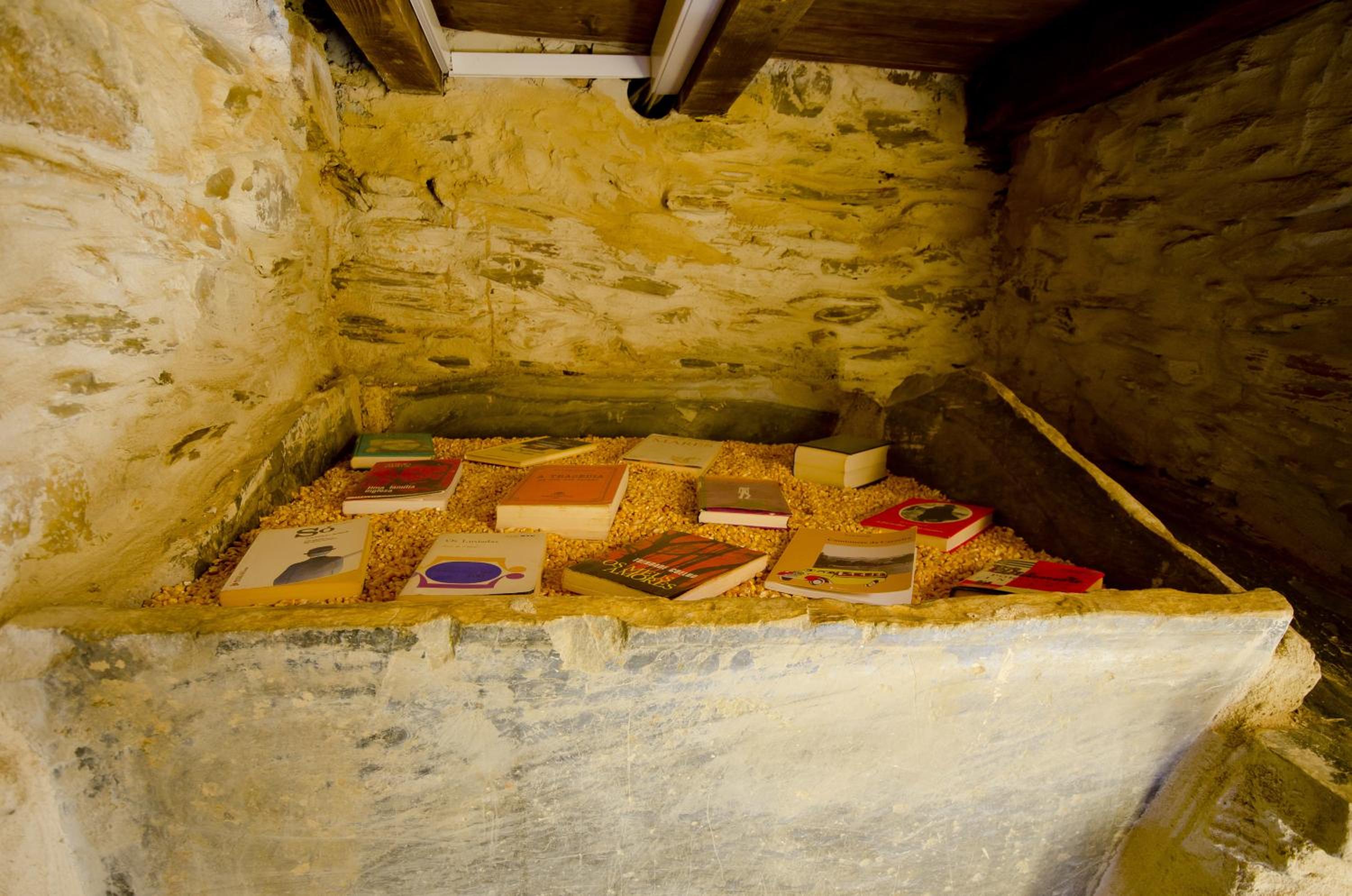 Photo 42
